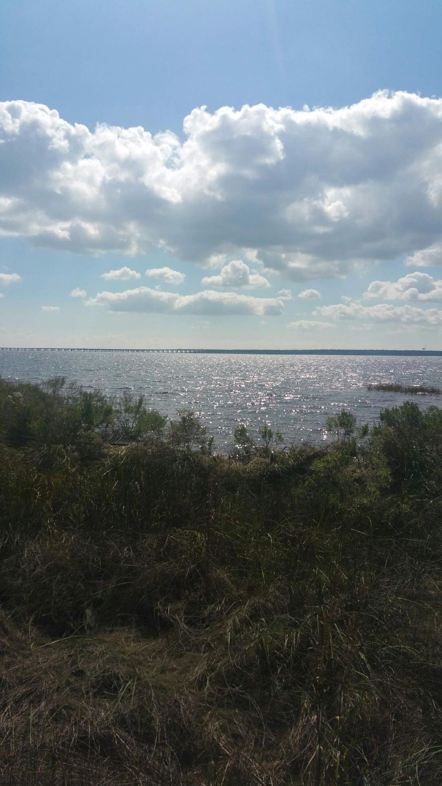 Ever dream of building on the water? Watching the sunset from your back porch? Here's your chance. This bayfront homesite sits on over an acre of total privacy. Love to fish . . . step out your back door to the Bay to catch redfish, mullet, and flounder. Lot was cleared in 2004, some weeds and such have grown back, but clear of large trees. Ready To Build.