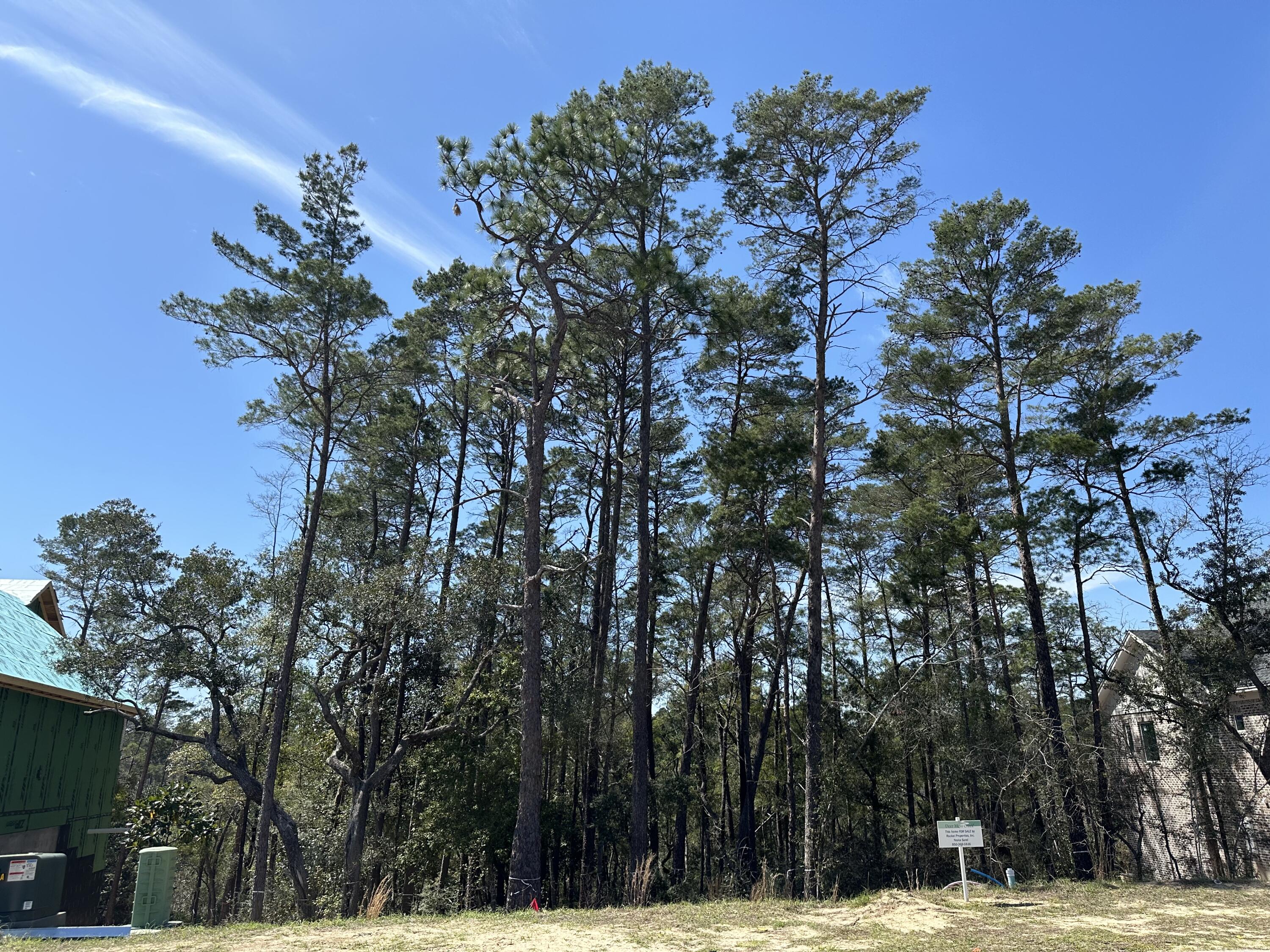Premium lot in DMC where the backyard is untouched nature for your new custom home! The inspiration for Deer Moss Creek(r) is its unique natural environment. The neighborhoods and paved trail are designed around the creek, its tributaries, and wetland areas. Park, bike paths, and 5'-wide sidewalks entice people to spend time outside. The Aesthetic Design Code and Town Architect ensure that streetscapes have a variety of home plans, colors, and textures. A clubhouse, pool, children's playground, & basketball court under construction.Deer Moss Creek(r) is a hometown community in Niceville, Florida, just north of Destin beaches via the Midbay Bridge. Niceville schools are highly ranked in the State of Florida for academics and many sports.