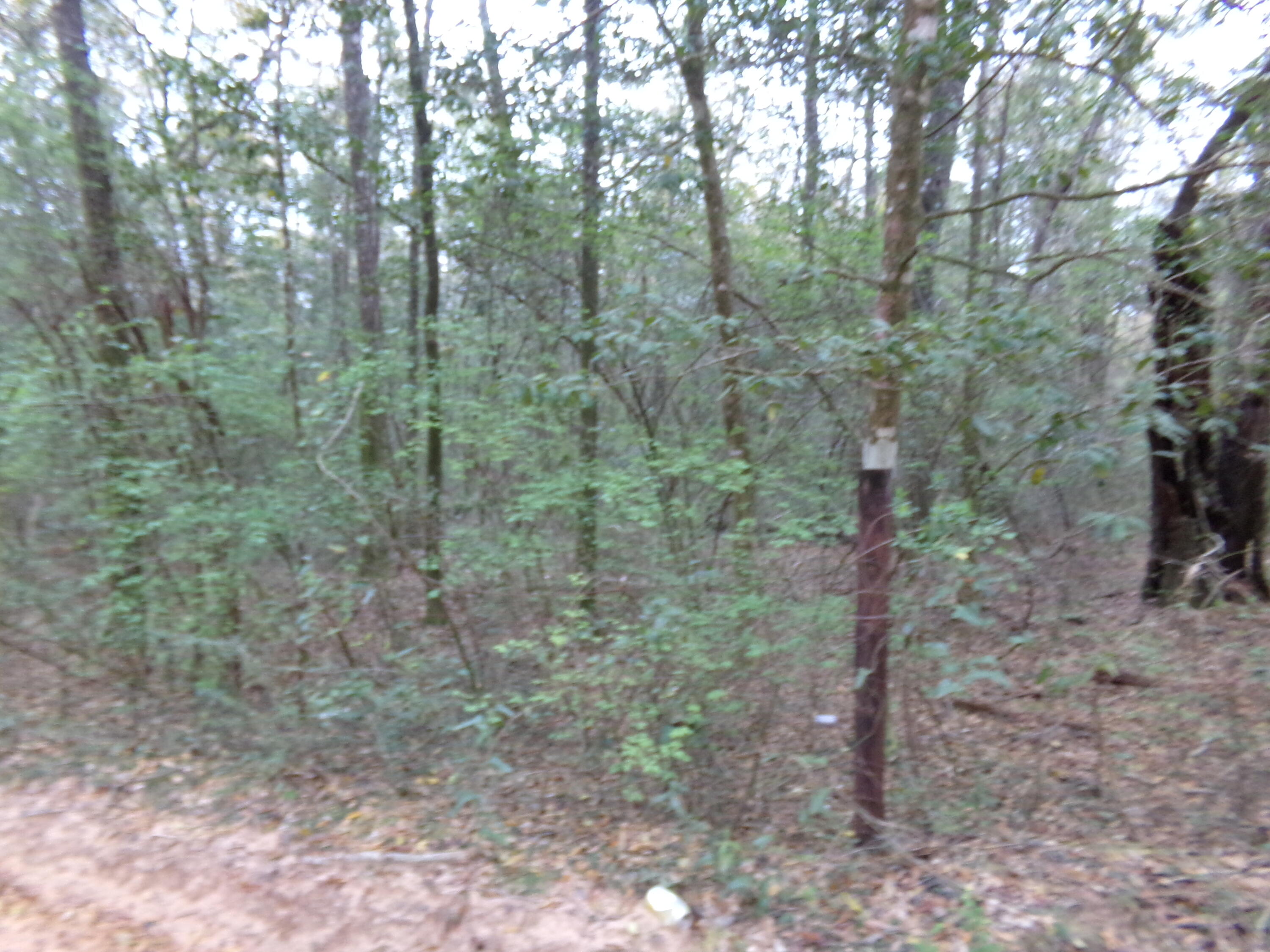 METES & BOUNDS - Farm