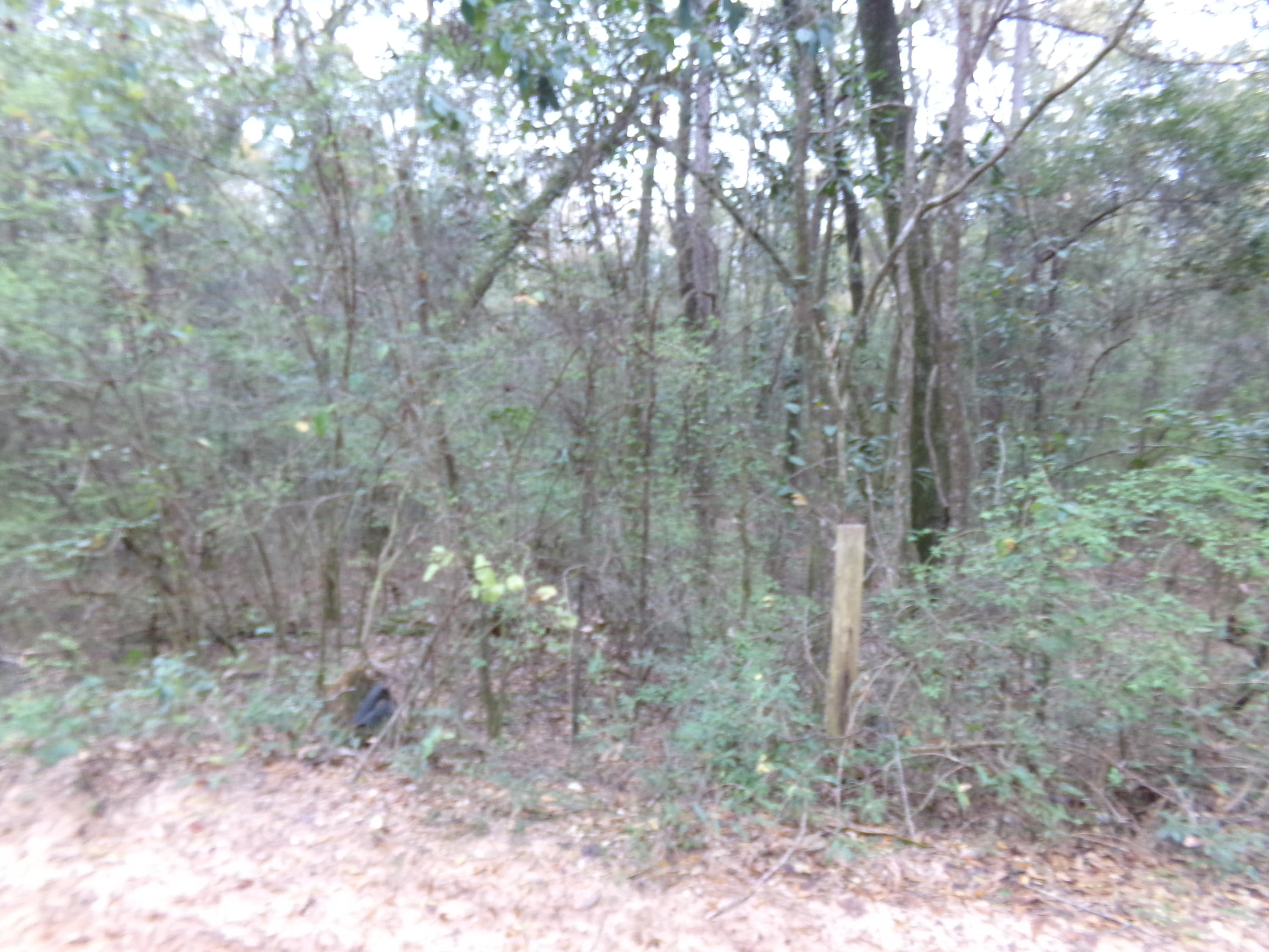 METES & BOUNDS - Farm