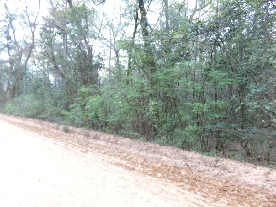 Just off pavement, 10 beautiful acres with magnificent Oaks, Magnolia's, and huge pine trees~  Just minutes to Baker , Holt and the interstate~  Electric & Baker Water available~