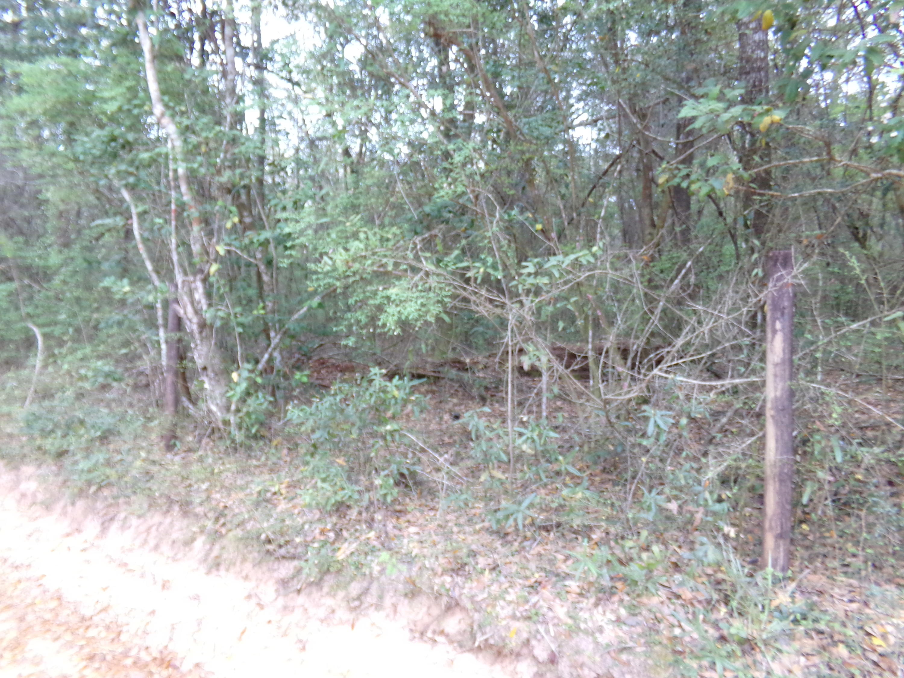 METES & BOUNDS - Farm