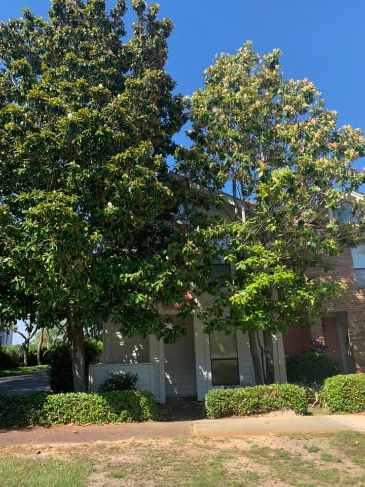 MAGNOLIA BAY CLUB T/H PH 1 - Residential Lease