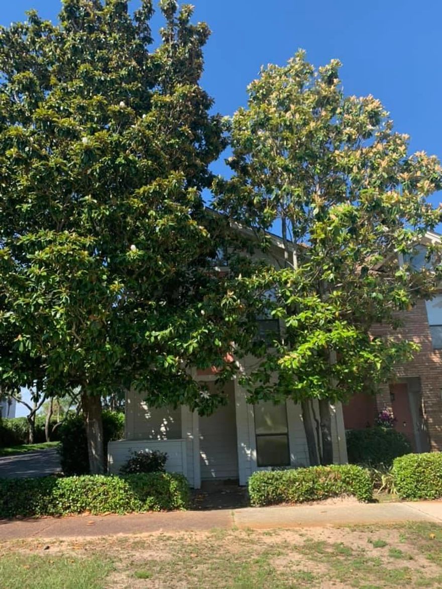 Don't miss out on this great opportunity to live at Magnolia Bay Town Homes... Spacious 2 bedroom, 2 1/2 bath features spacious living & dining area, both bedrooms are on the second level & feature their own bath. The third level has a bonus room that would be great for extra storage. Back patio for outside living space! Conveniently located in the heart of Destin... close to shopping, dining, & beaches.