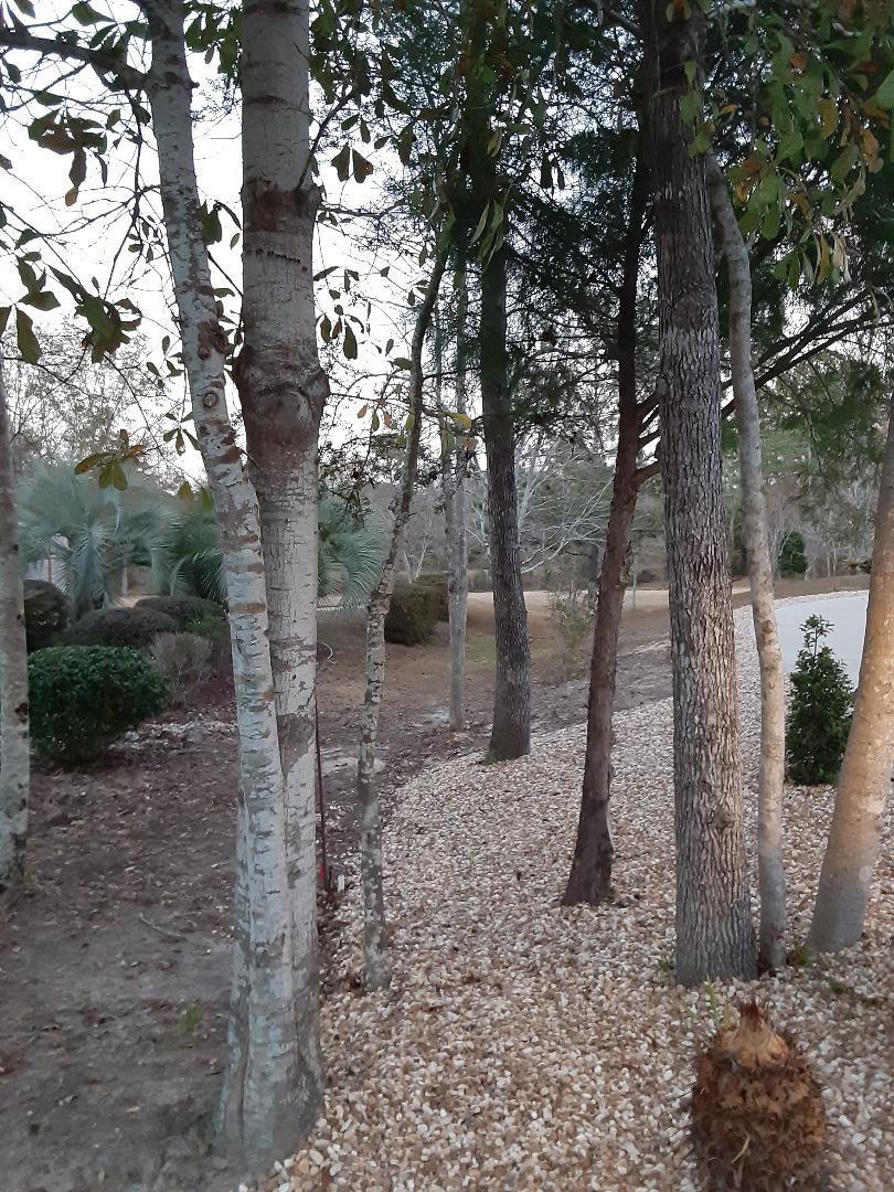 FOXWOOD COUNTRY CLUB EST - Residential