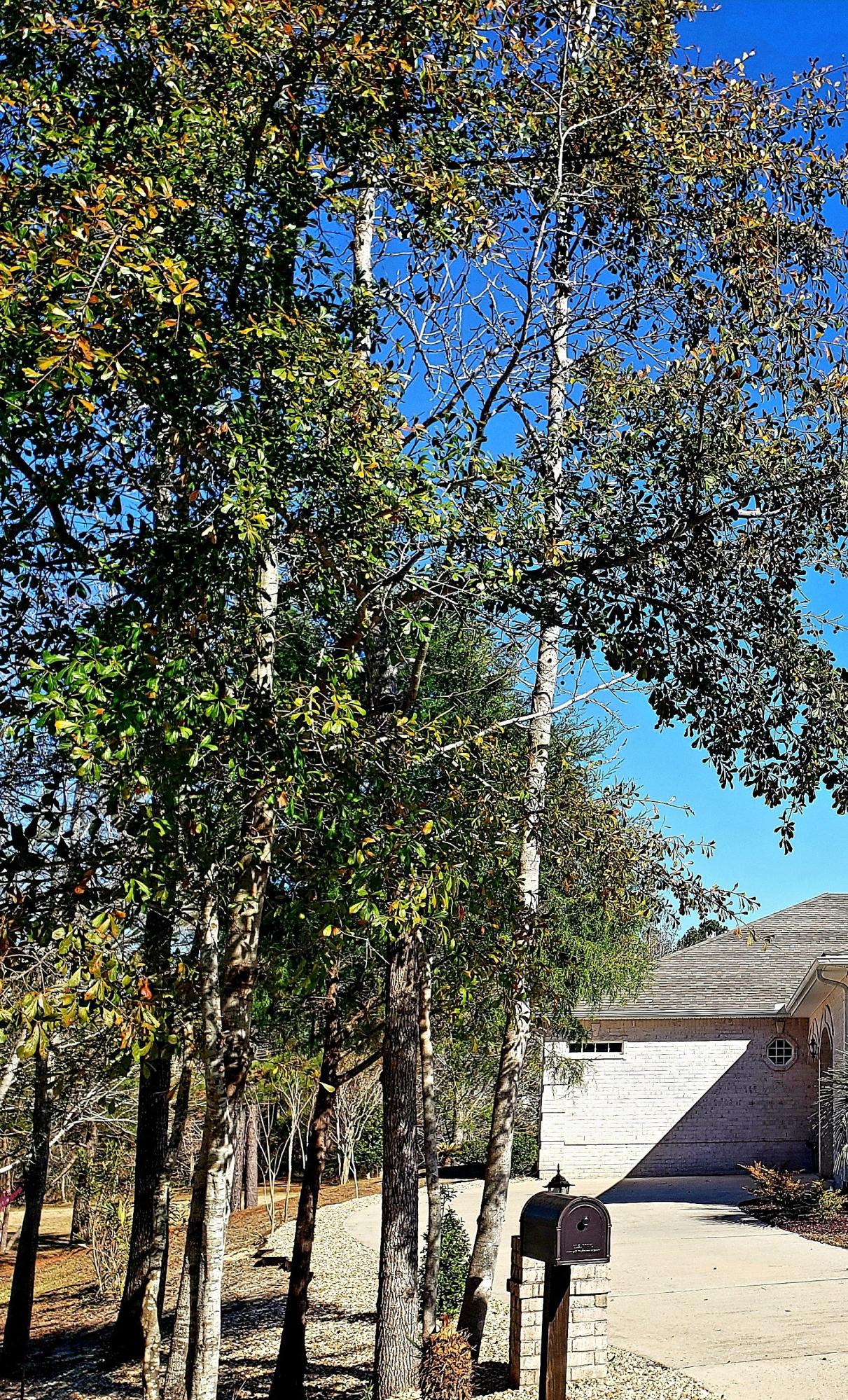 FOXWOOD COUNTRY CLUB EST - Residential