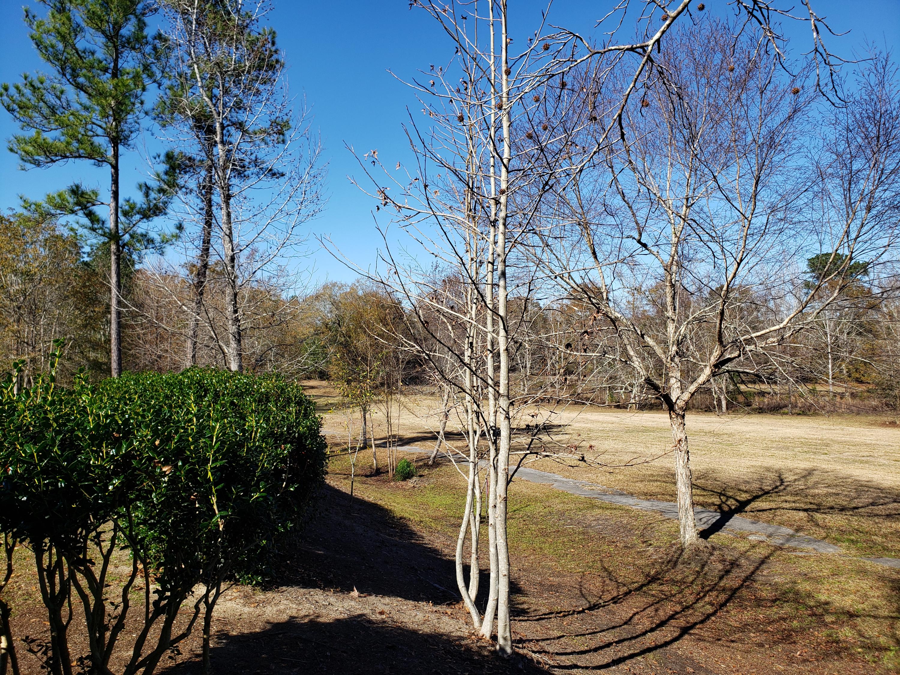 FOXWOOD COUNTRY CLUB EST - Residential