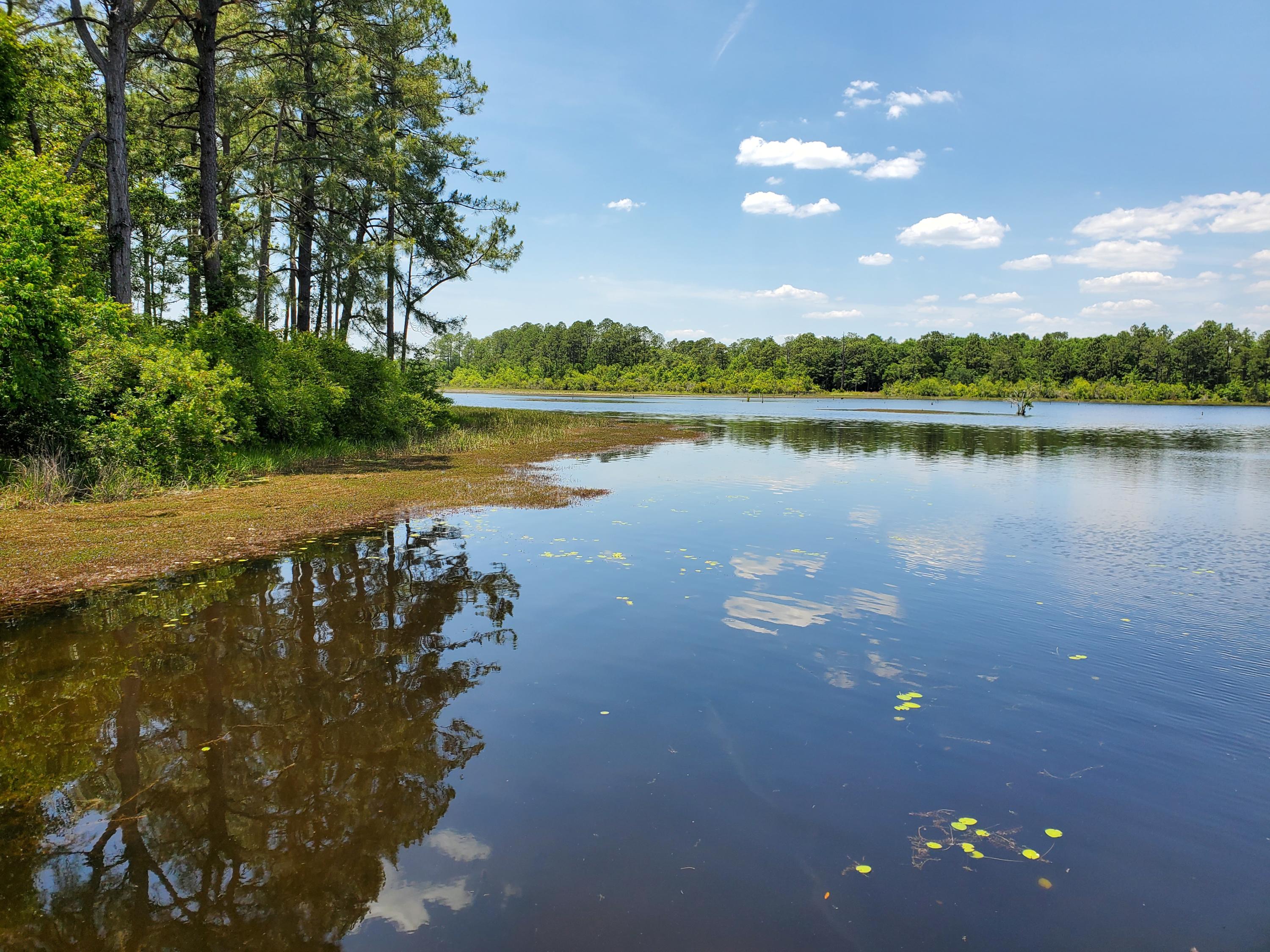 LAKE JUNIPER ESTATES UNIT 3 - Land