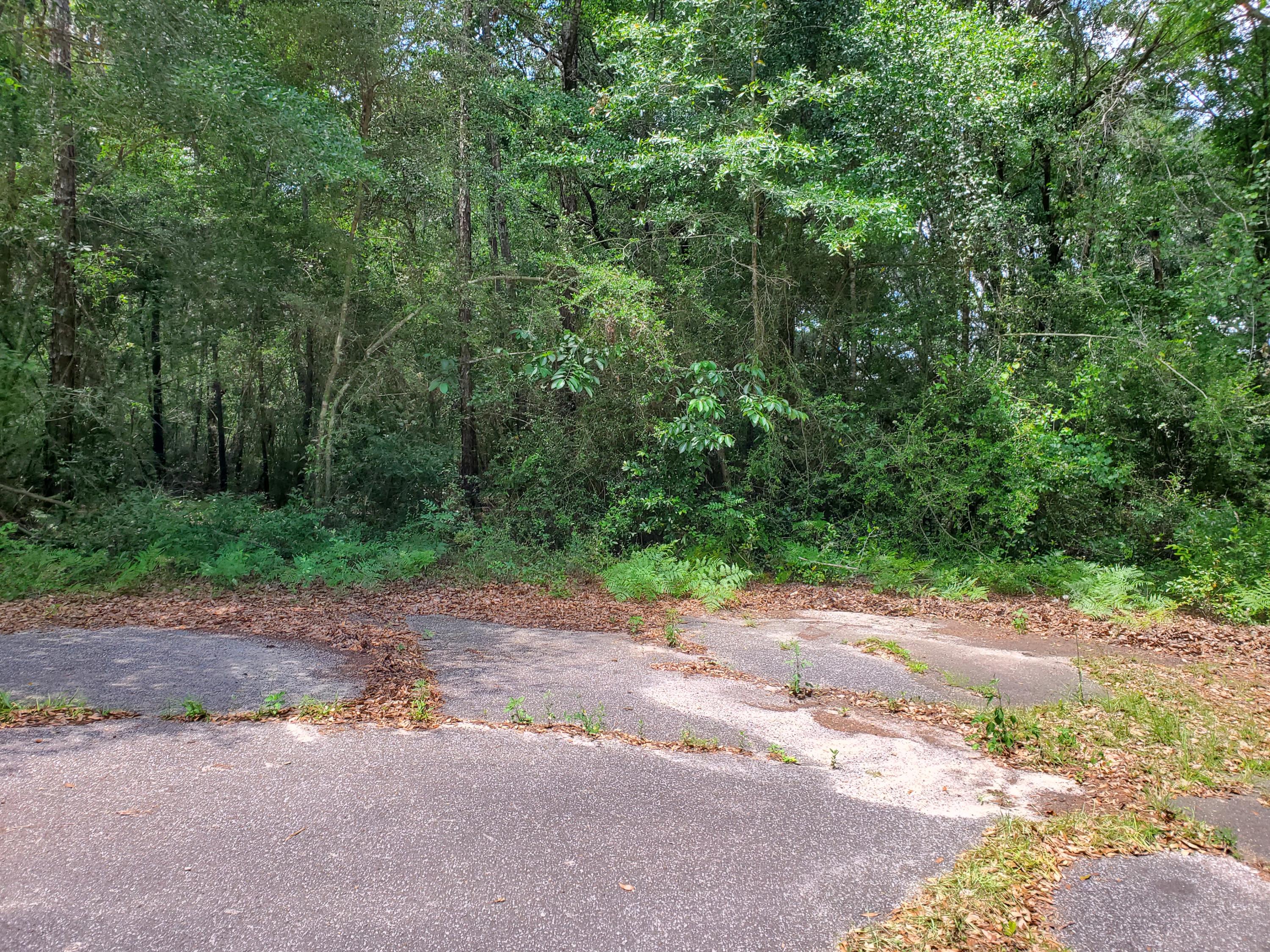 LAKE JUNIPER ESTATES UNIT 3 - Land