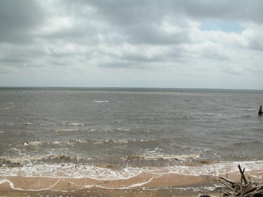 RARE FIND - UNRESTRICTED BAYFRONT LOT! Great views across Choctawhatchee Bay! This lot already has a 1,050 gallon septic tank and city water in place. City sewer is available. Could be an ideal location for your RV or camper until you build your dream bayfront home! Nice trees and natural vegetation. Great elevation and vinyl seawall in place. Seawall will need minor repair and being sold ''As-Is''. New homes being built in the surrounding area. Don't miss this unique bayfront lot!!