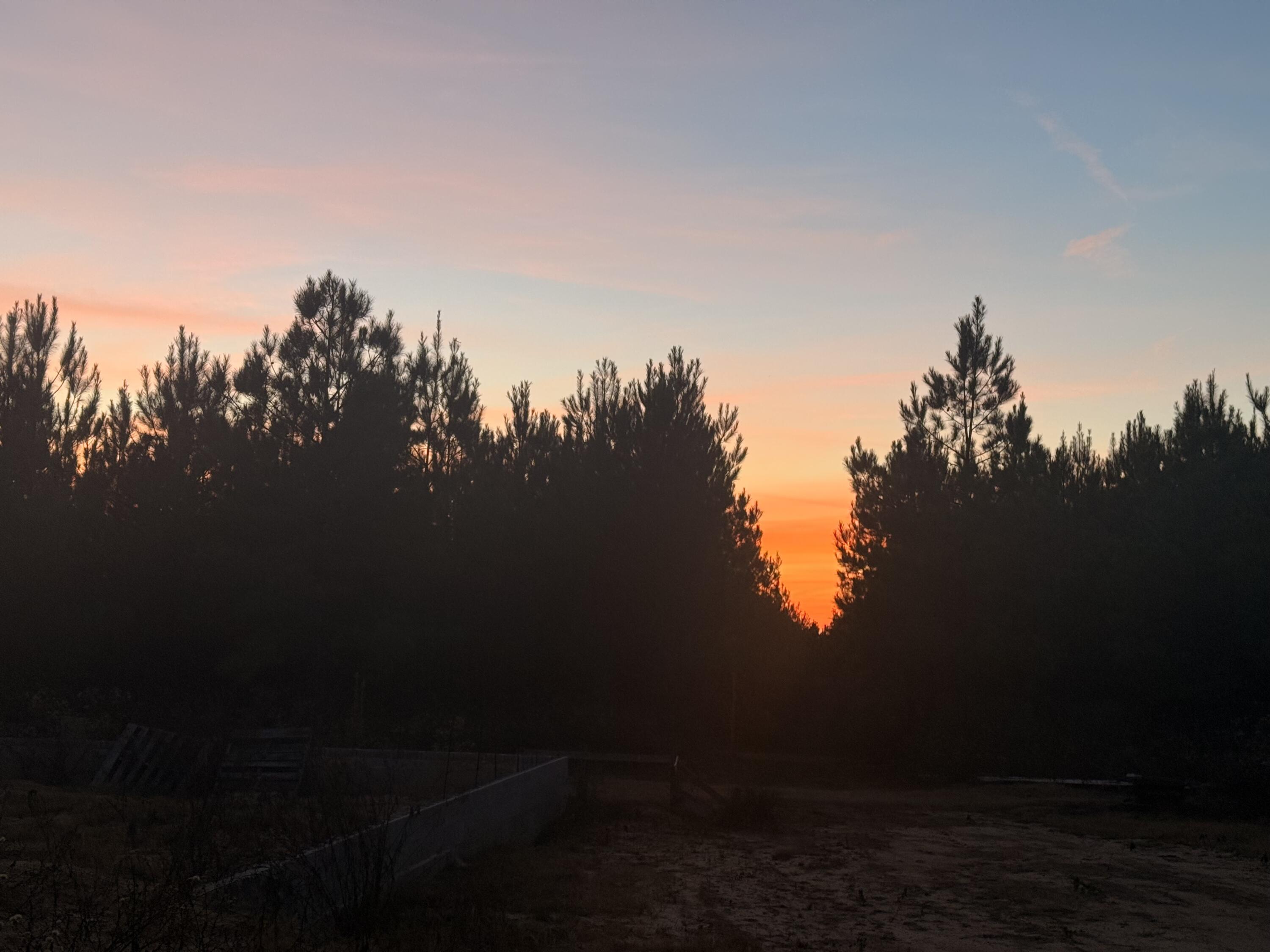 Lot 10, Lakewood Forest - Land