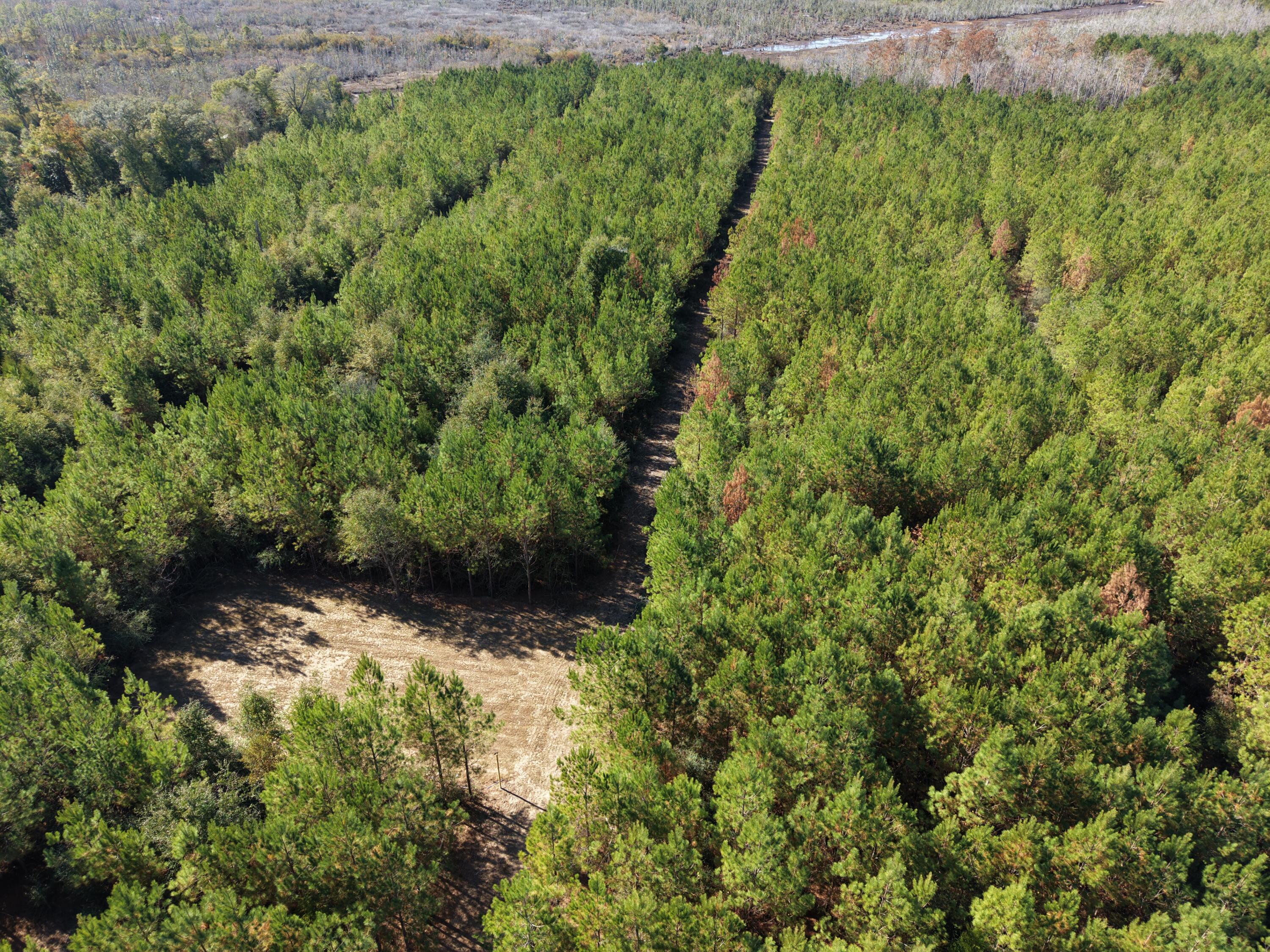 Lot 10, Lakewood Forest - Land