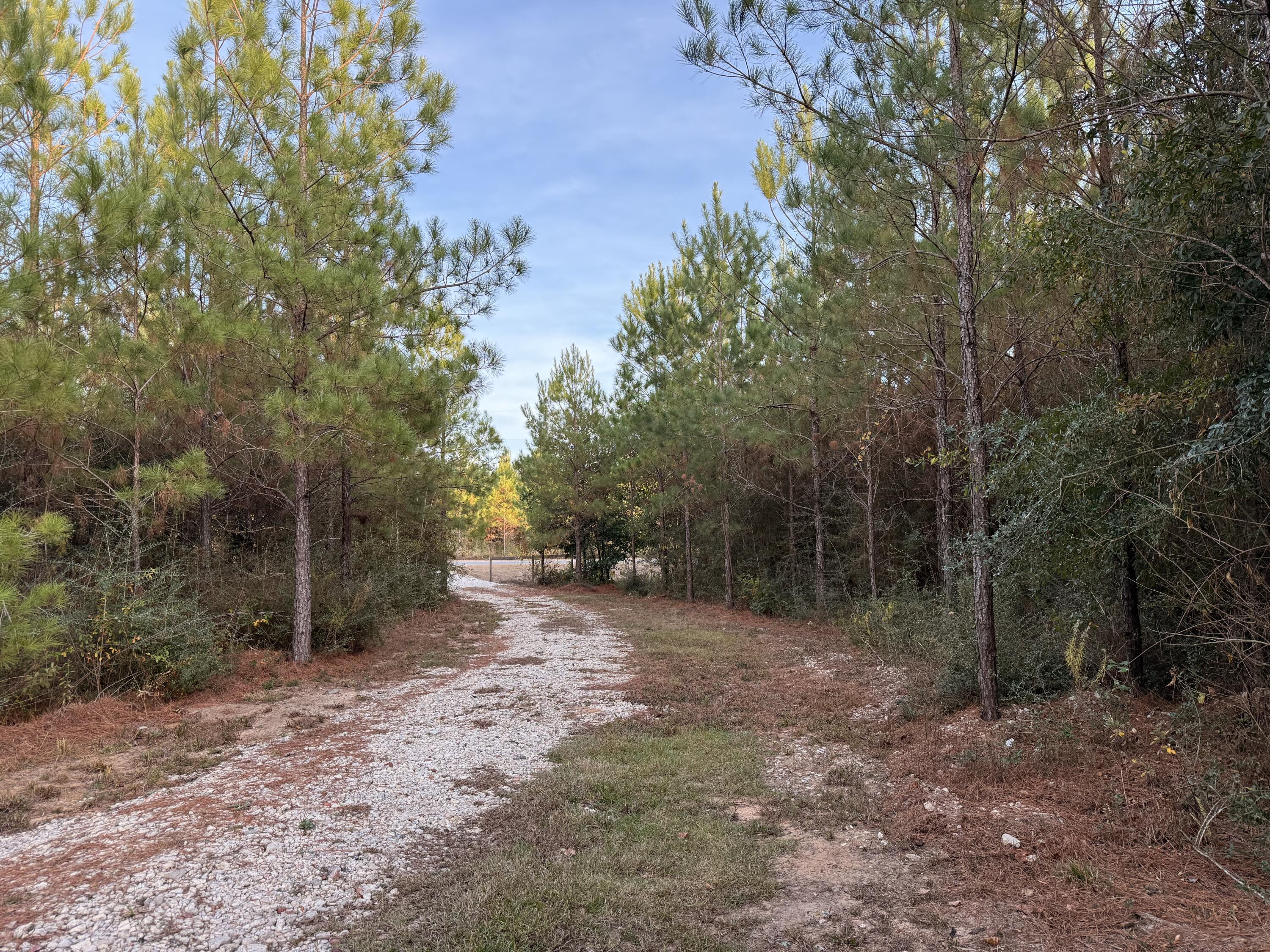 Lot 10, Lakewood Forest - Land