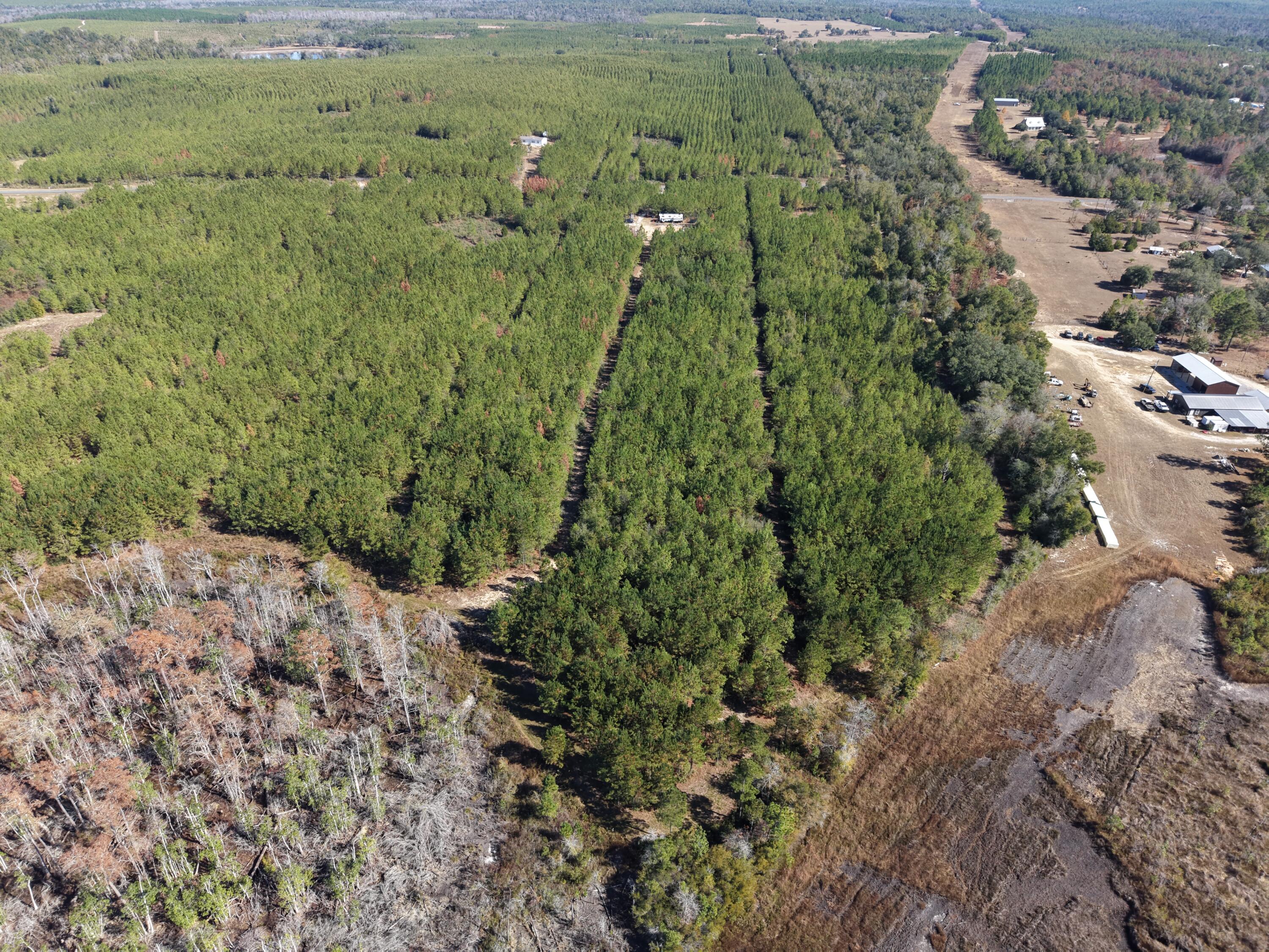 Lot 10, Lakewood Forest - Land