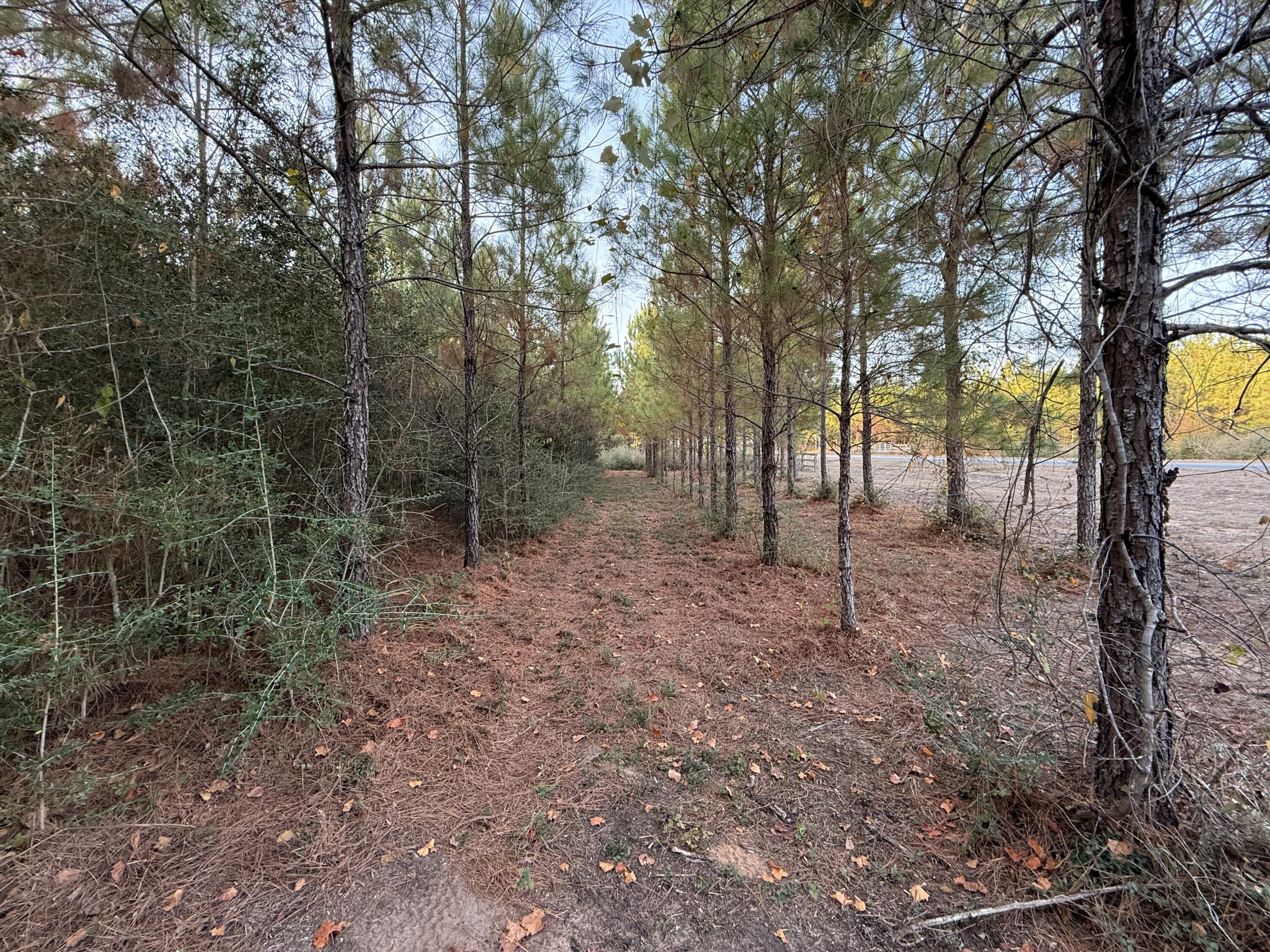 Lot 10, Lakewood Forest - Land