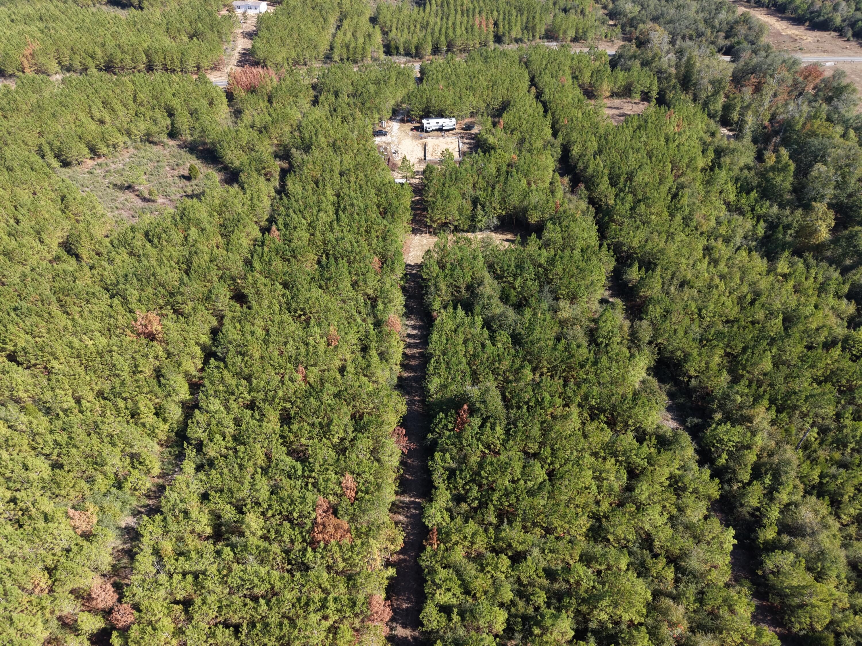 Lot 10, Lakewood Forest - Land