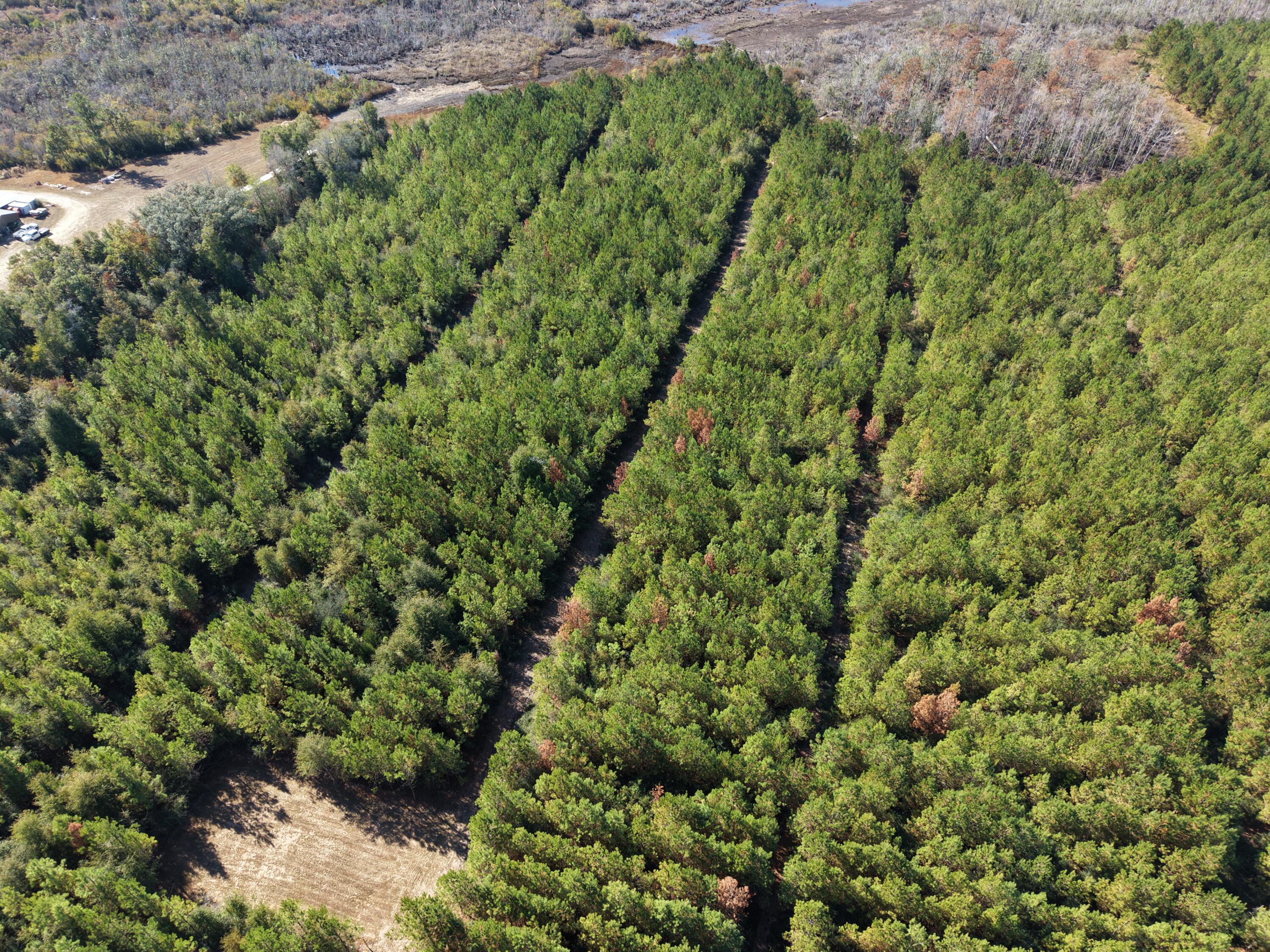 Lot 10, Lakewood Forest - Land