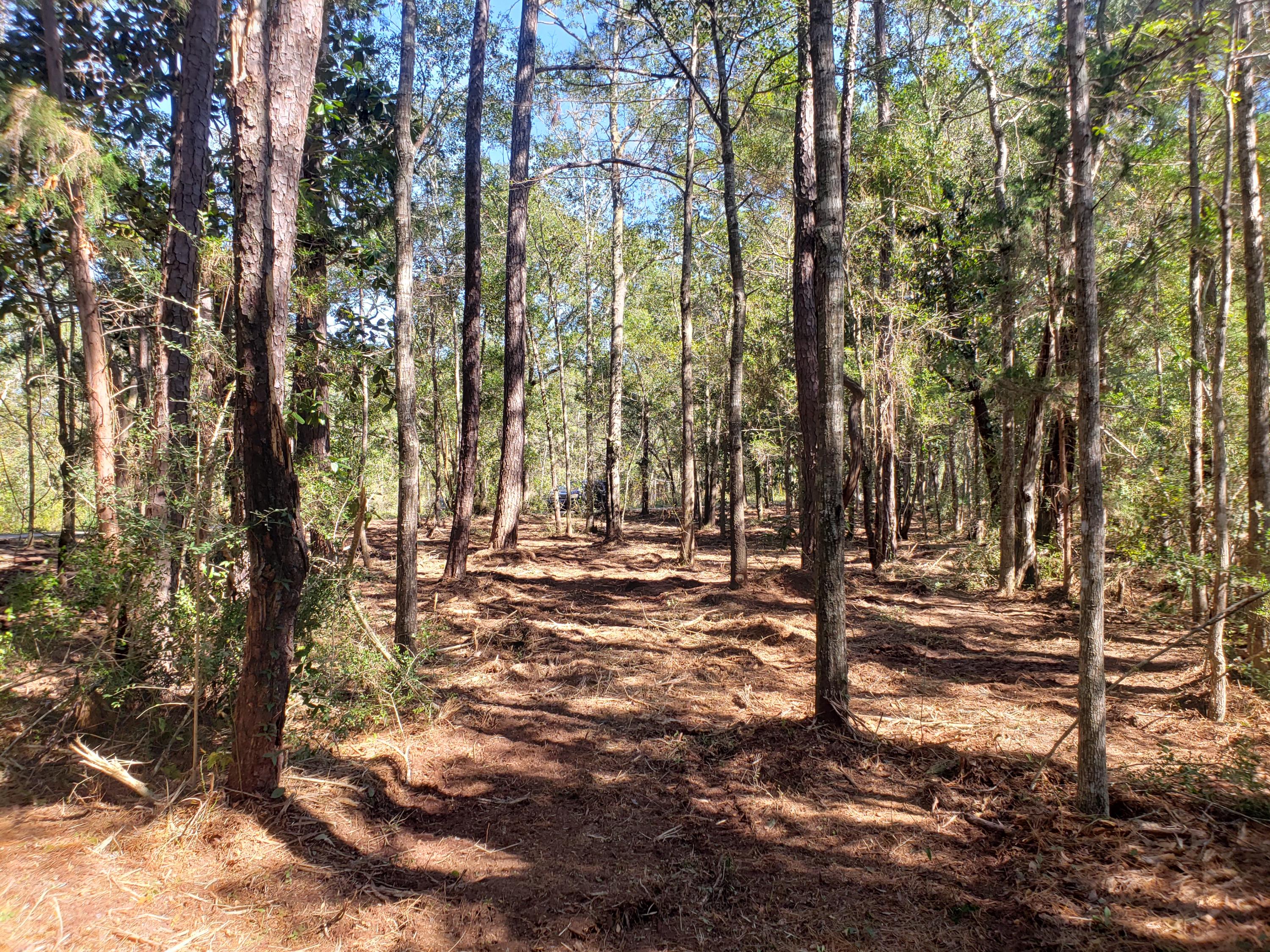 PRIDGEN'S UNRECD - Land