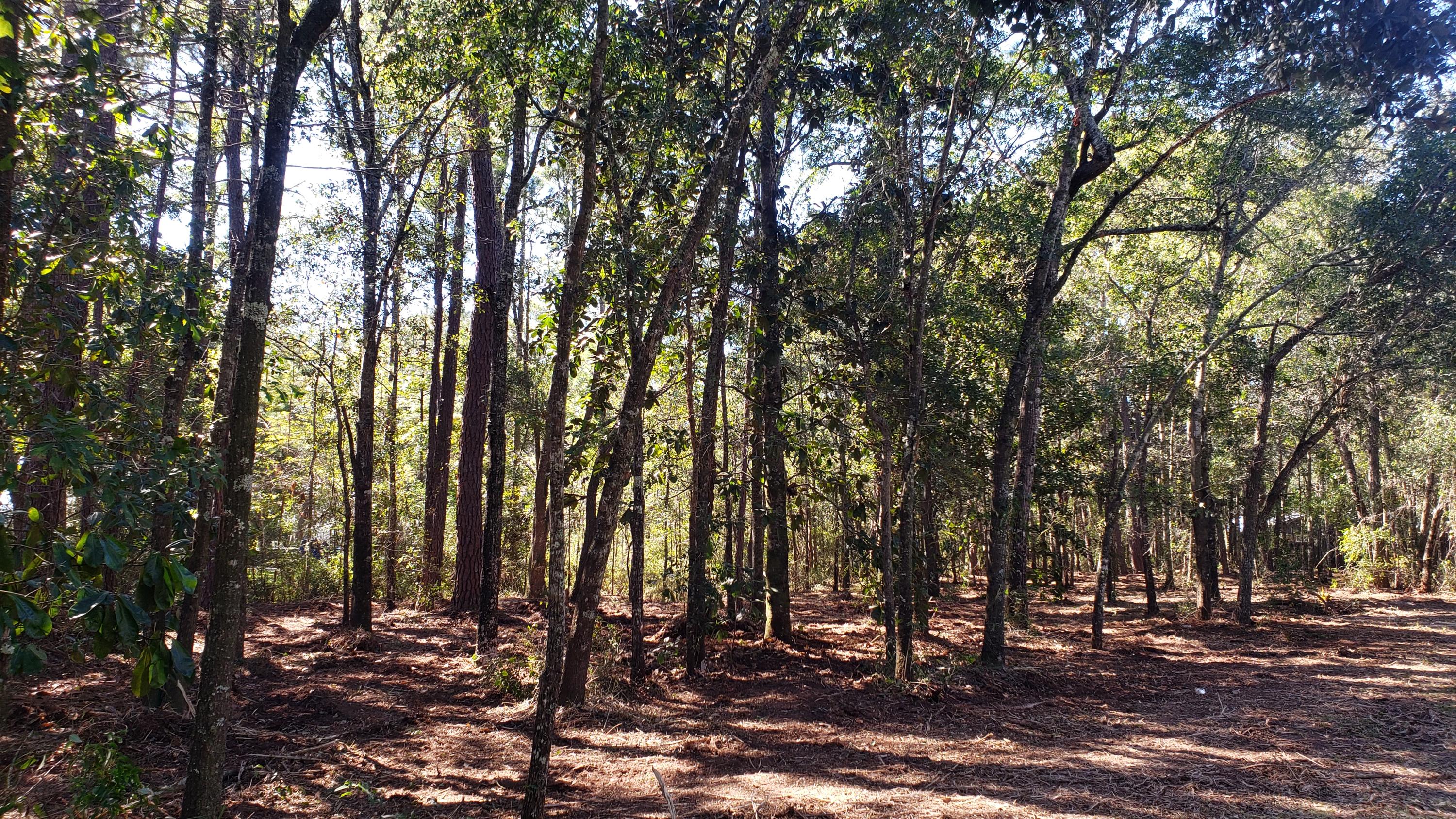 PRIDGEN'S UNRECD - Land