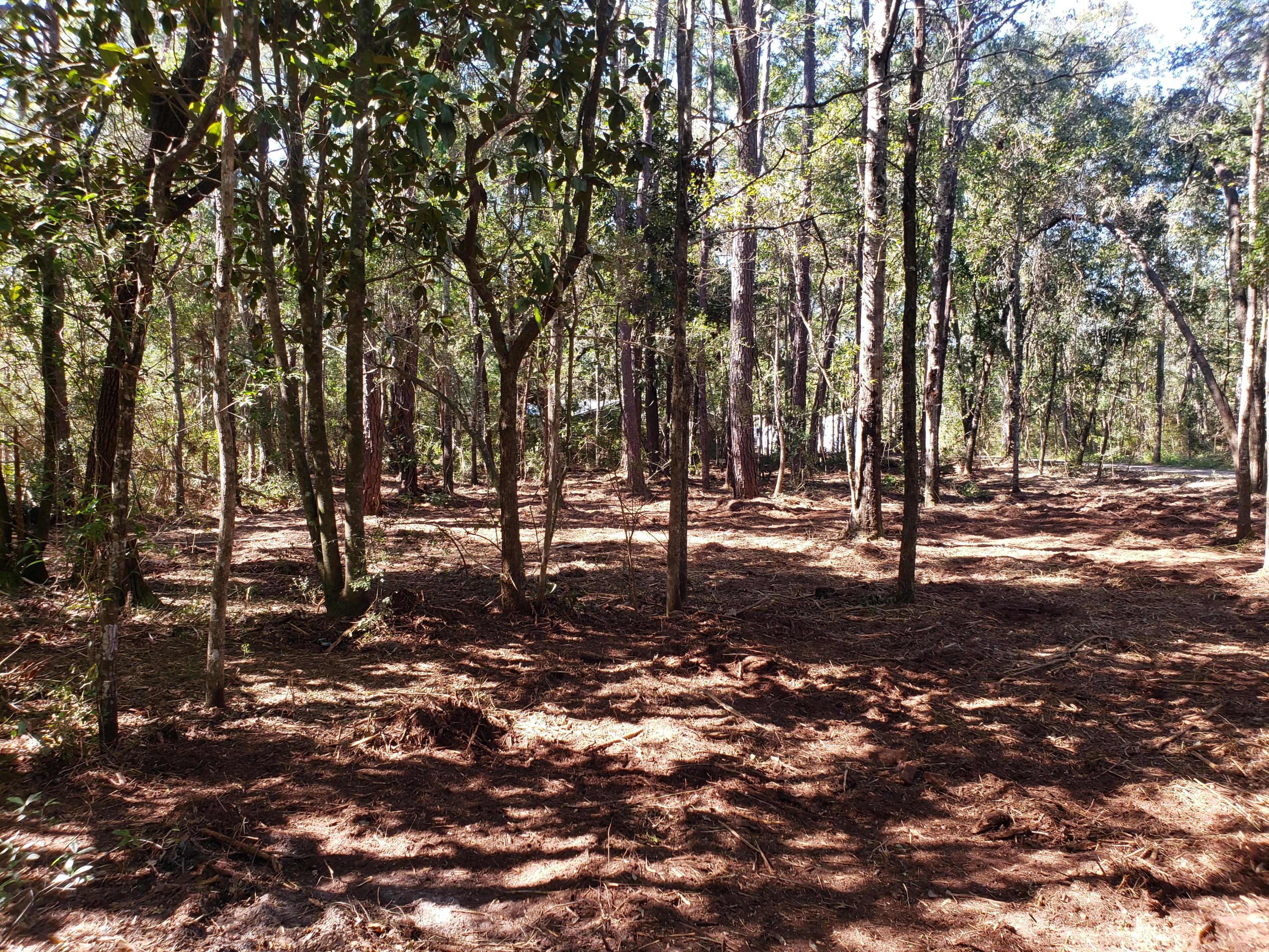 PRIDGEN'S UNRECD - Land