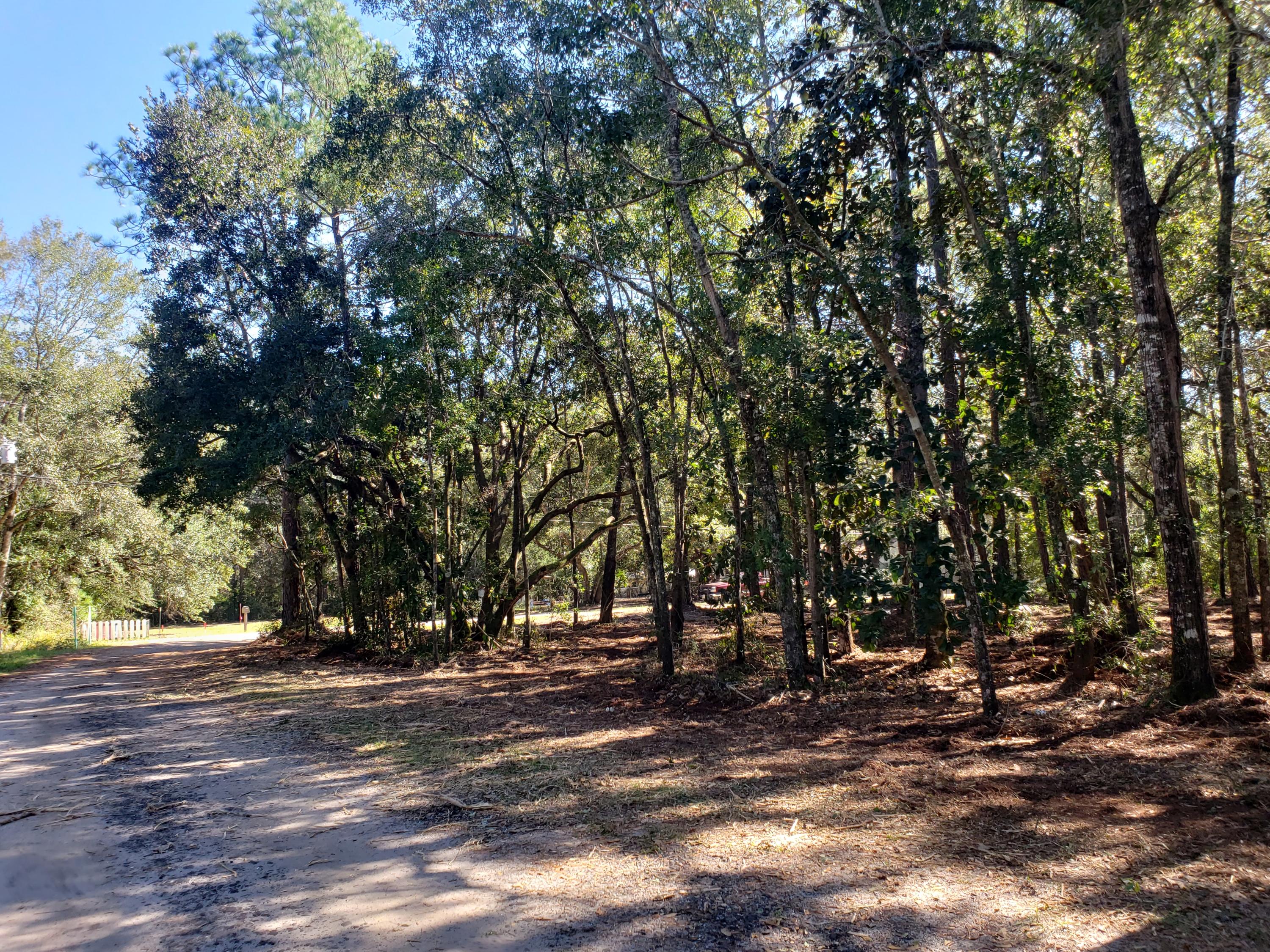 Enjoy 240ft of canal front water access to the Bay from this canal, minutes to South Walton by boat. The large track of land, measuring 240 ft x 150 ft, allows ample room to build and keep the large oak trees. Public Water, Sewer, and Electric are available at boundary of property. No HOA. Walton County Planning Dept states the setbacks for this canal front property are 20ft from front, 7.5ft from sides and 25ft from the mean high water mark. GIS maps indicate that the majority of the property is in Zone X, where no flood insurance is required. A portion on the waterside of lot appears to be in Zone AE.