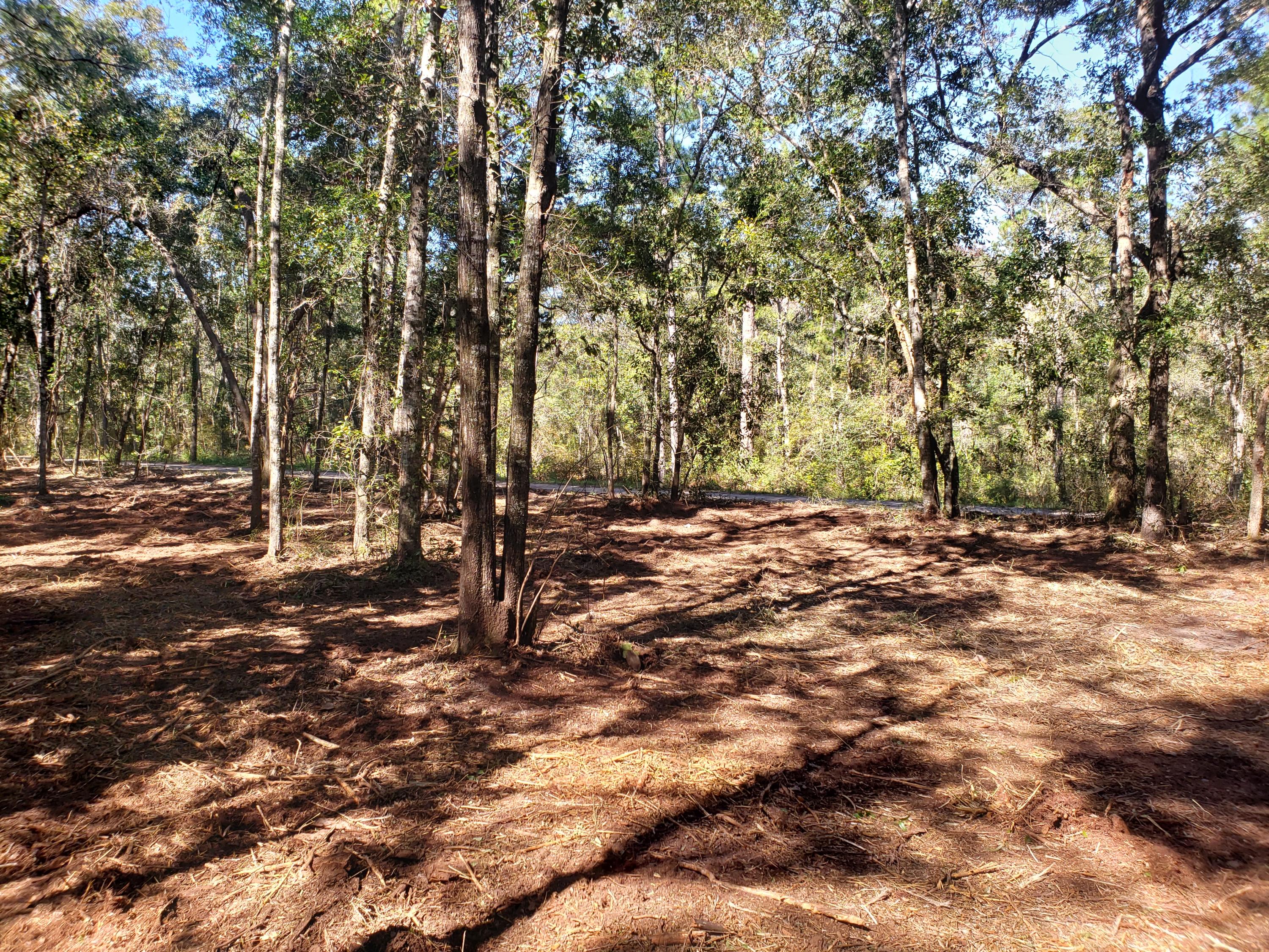 PRIDGEN'S UNRECD - Land