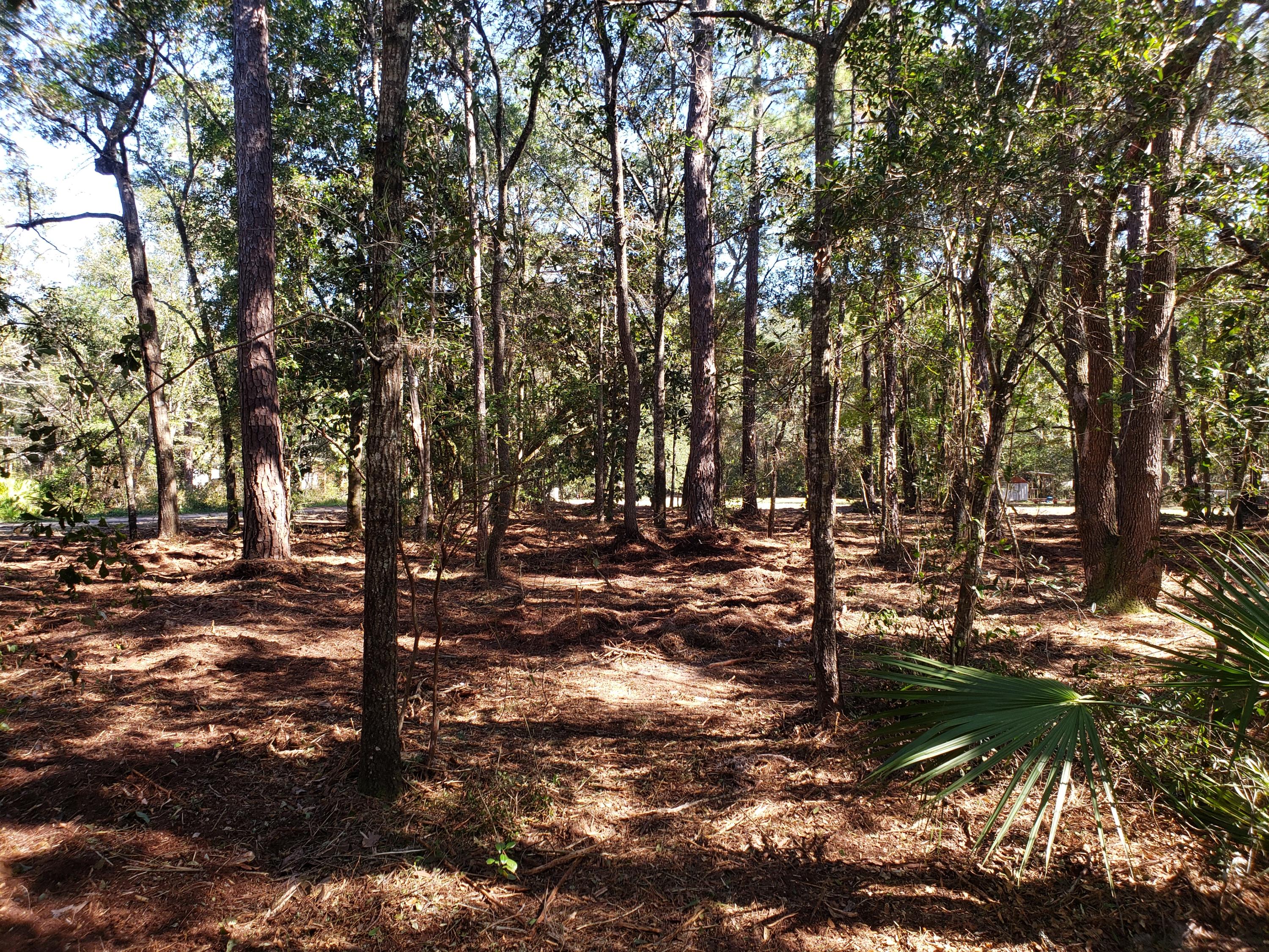 PRIDGEN'S UNRECD - Land