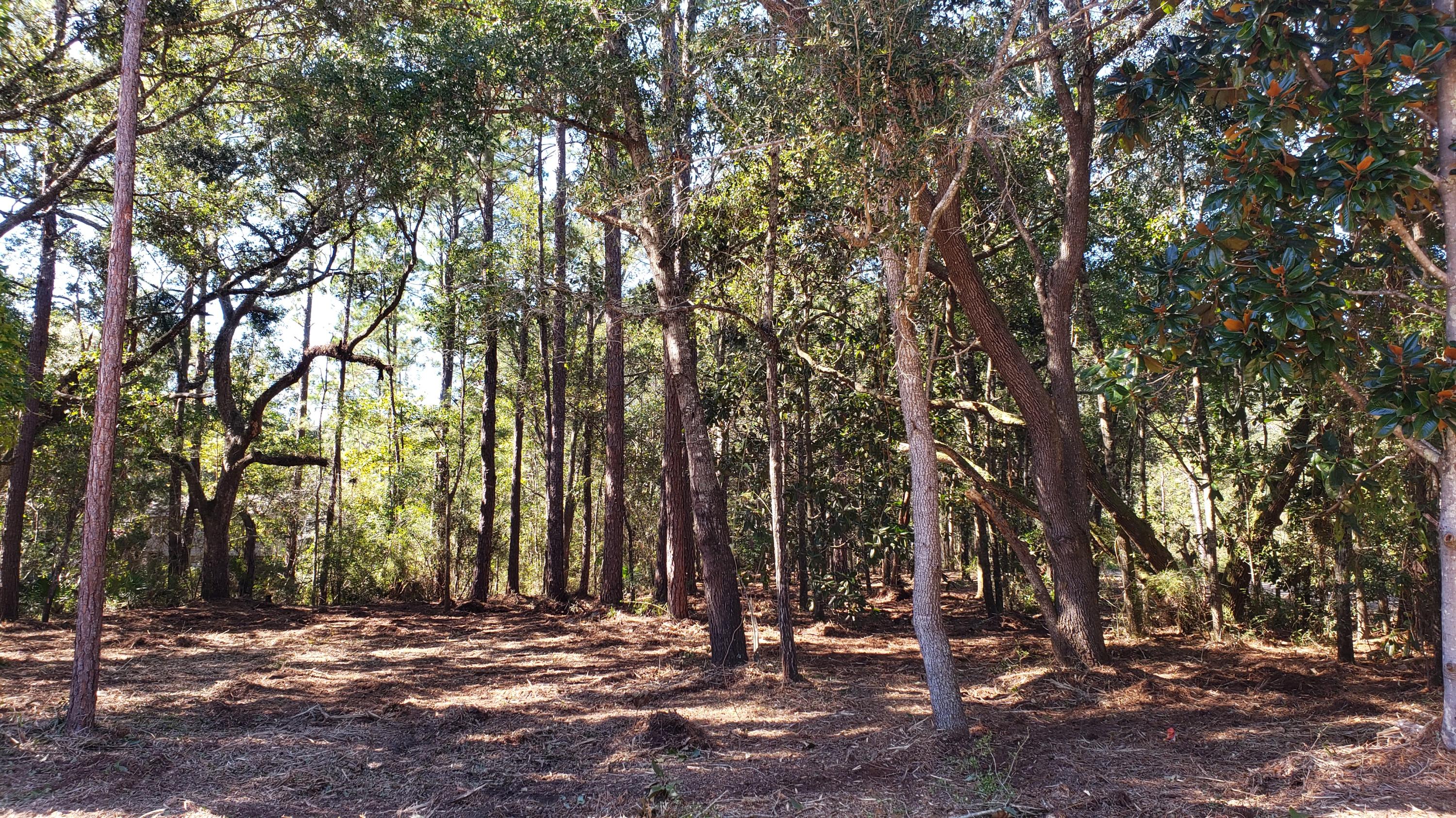 PRIDGEN'S UNRECD - Land