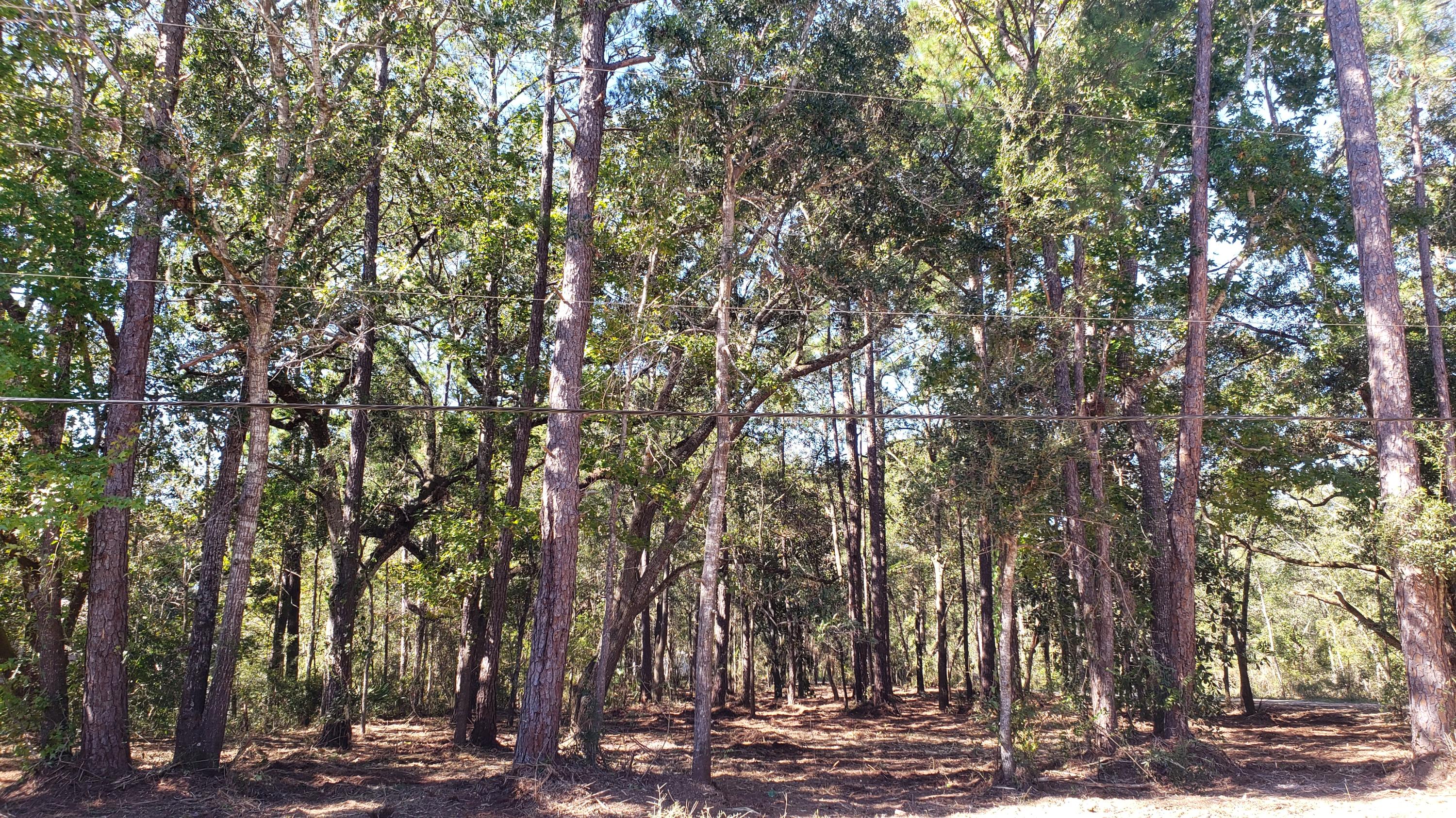 PRIDGEN'S UNRECD - Land