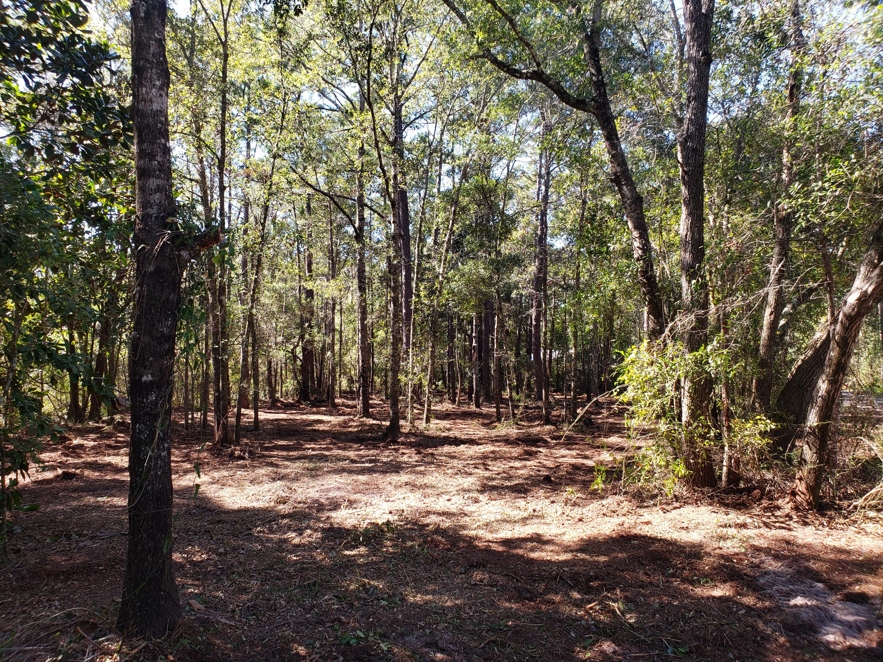 PRIDGEN'S UNRECD - Land