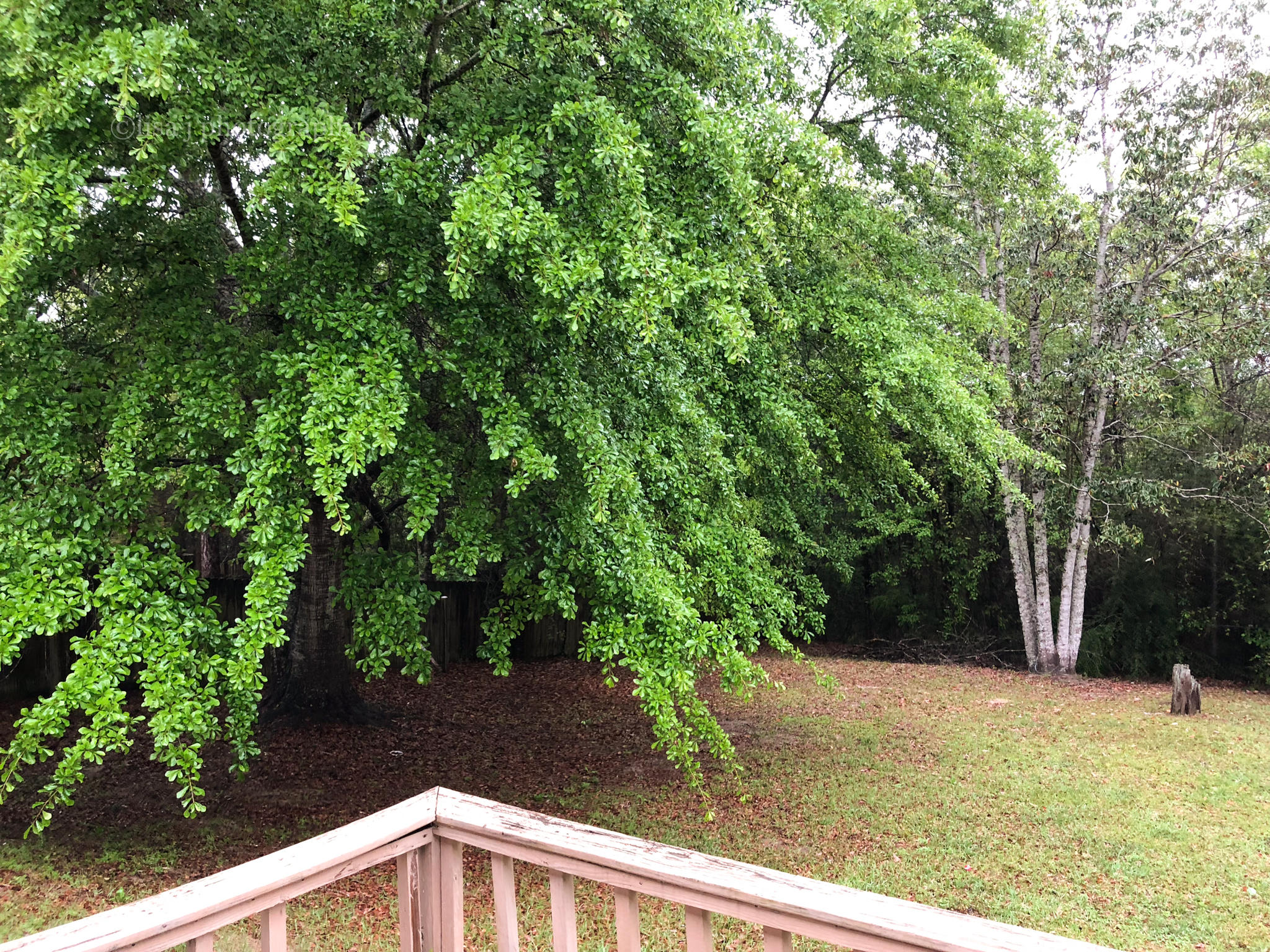 COUNTRYVIEW ESTATES - Residential