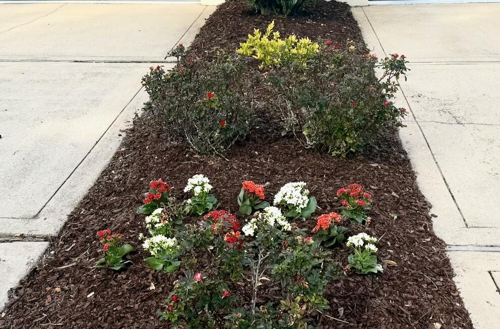 REGATTA BAY - Residential