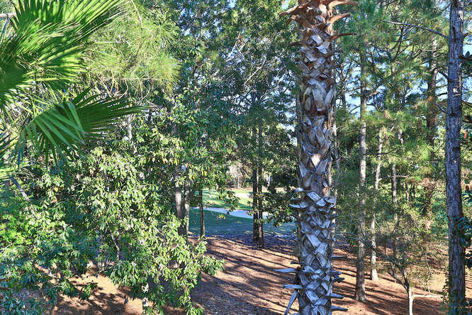 BURNT PINE - Residential