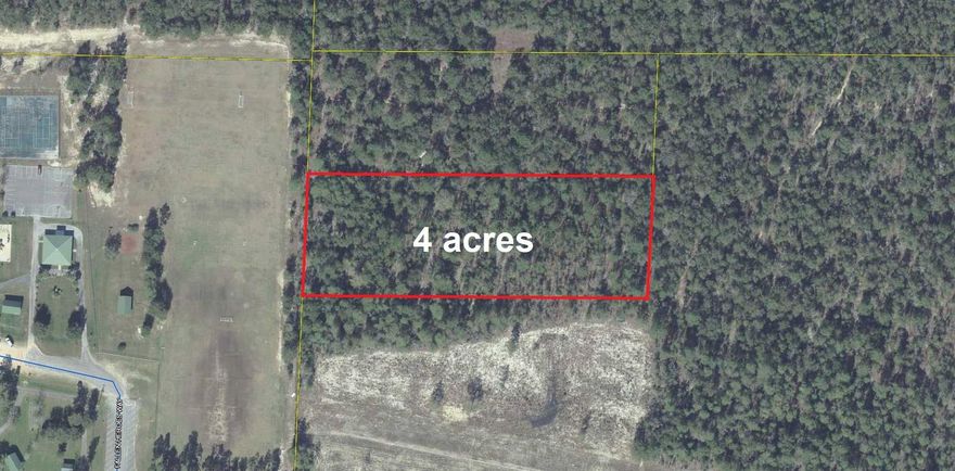 This 4 acre parcel is located in a great area of town walking distance to Maude Saunders Elementary and Walton High School. This would be a great homesite! There is currently no deeded access to property. Deeded access would need to be obtained by buyer from one of the two properties owners between this property and Walton Rd (one owned by Walton County School District and the other by Grace Church of Defuniak).