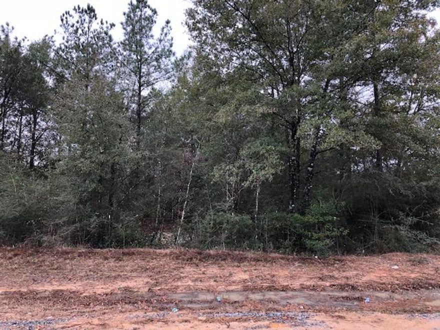 Perfect place to build your home! Close to HWY 90 and I-10! Land will be parceled off from main parcel at closing and given new Parcel ID. See MLS 791056 for 1.58 acre portion BLK 14 Lots 26-50. Buyer to verify all pertinent information.