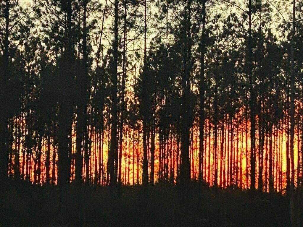 Parcel 12 - Long Rd - Land