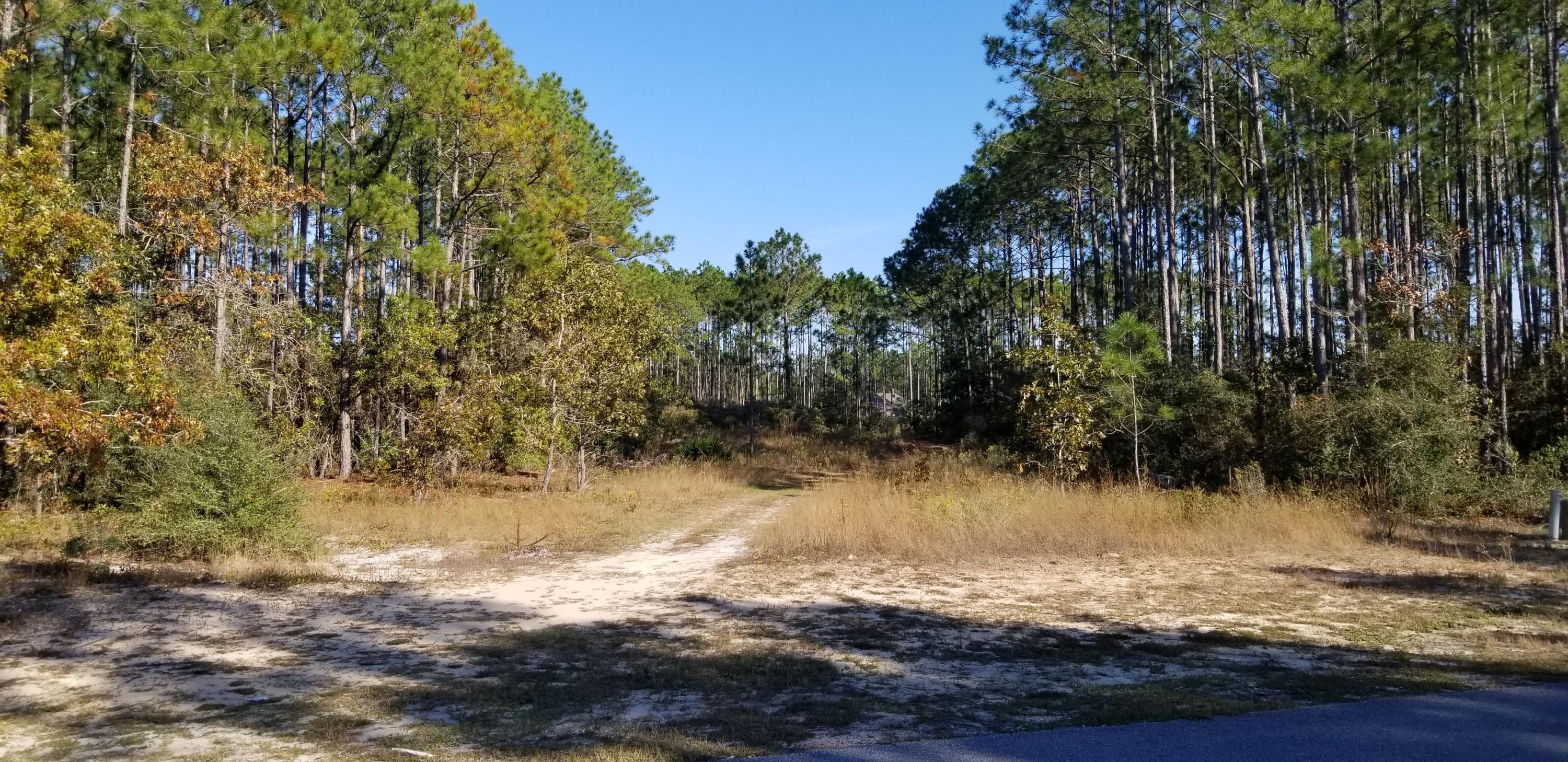 WINDSWEPT ESTATES - Land