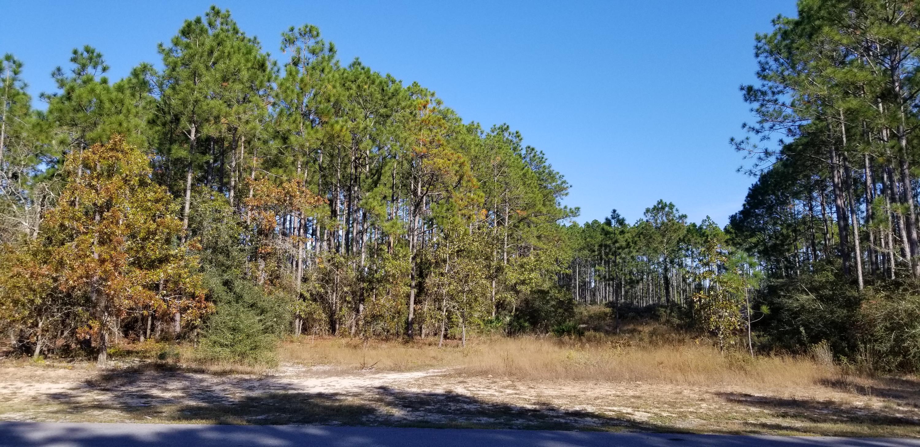 WINDSWEPT ESTATES - Land