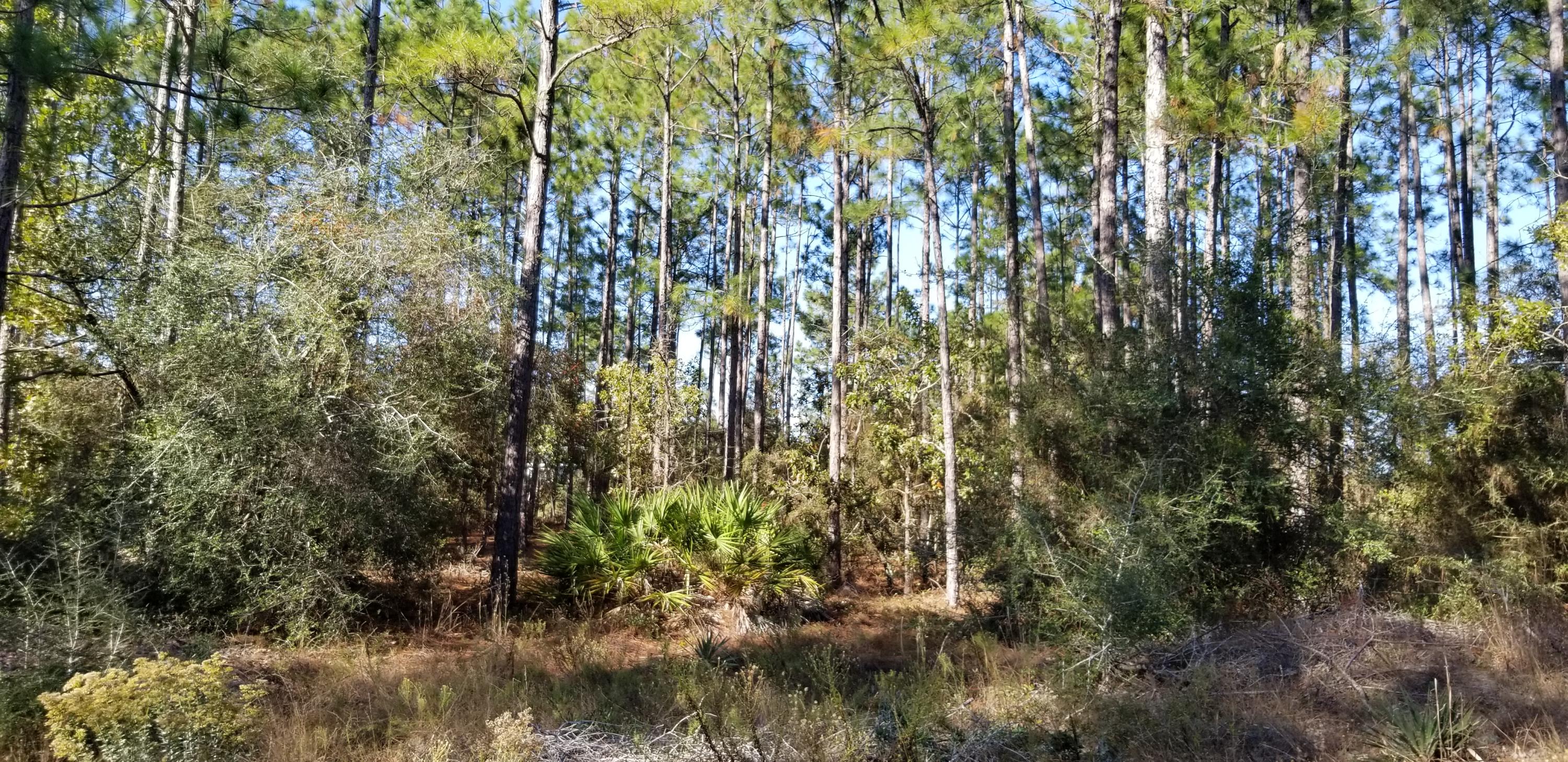 WINDSWEPT ESTATES - Land