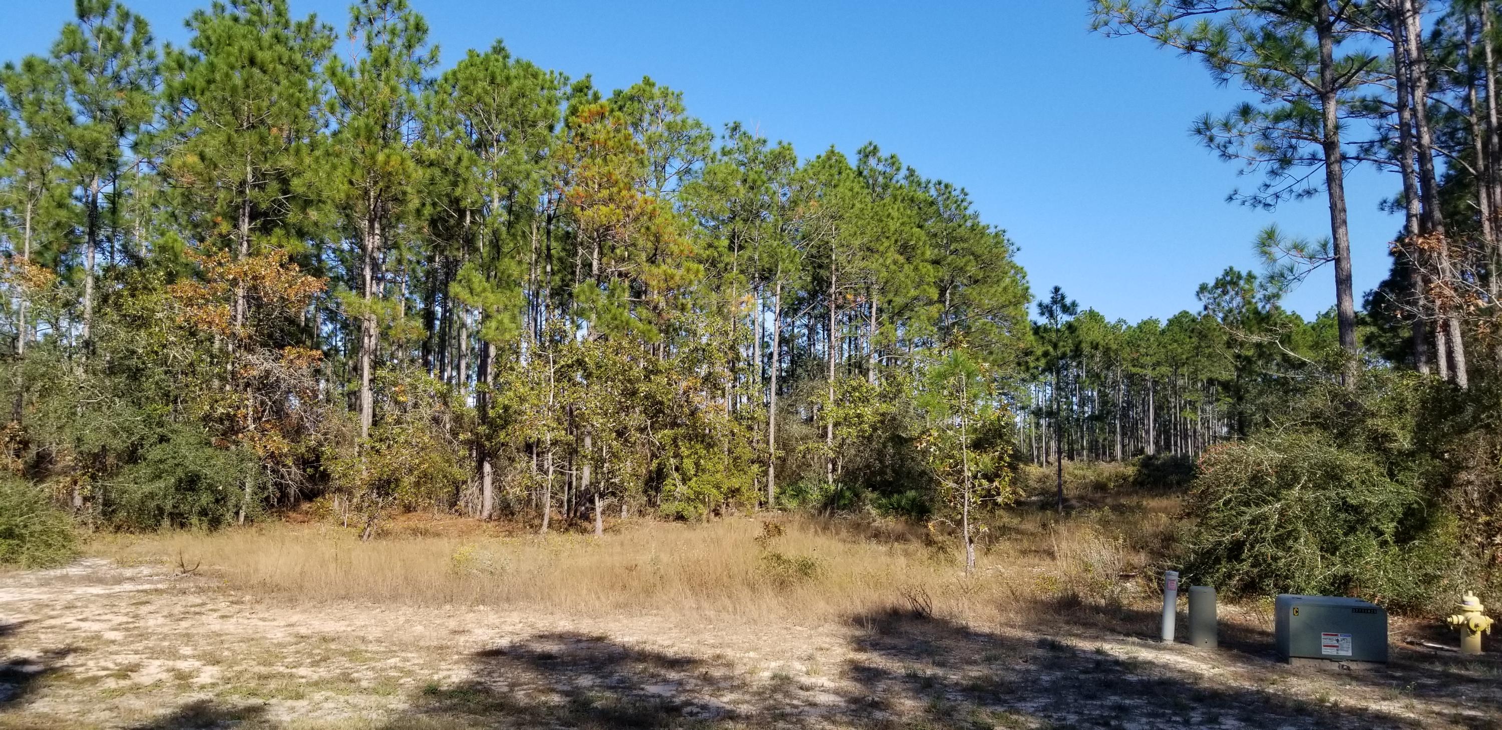 WINDSWEPT ESTATES - Land