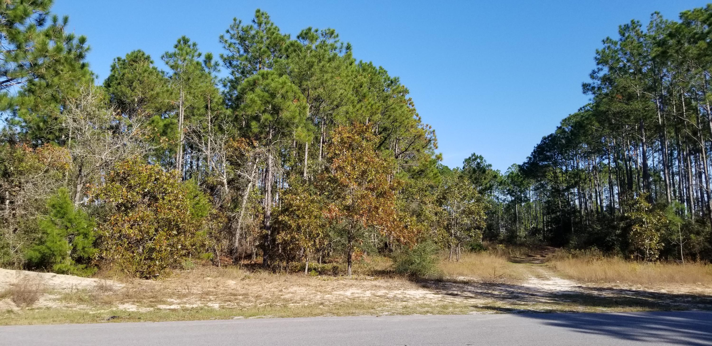 WINDSWEPT ESTATES - Land