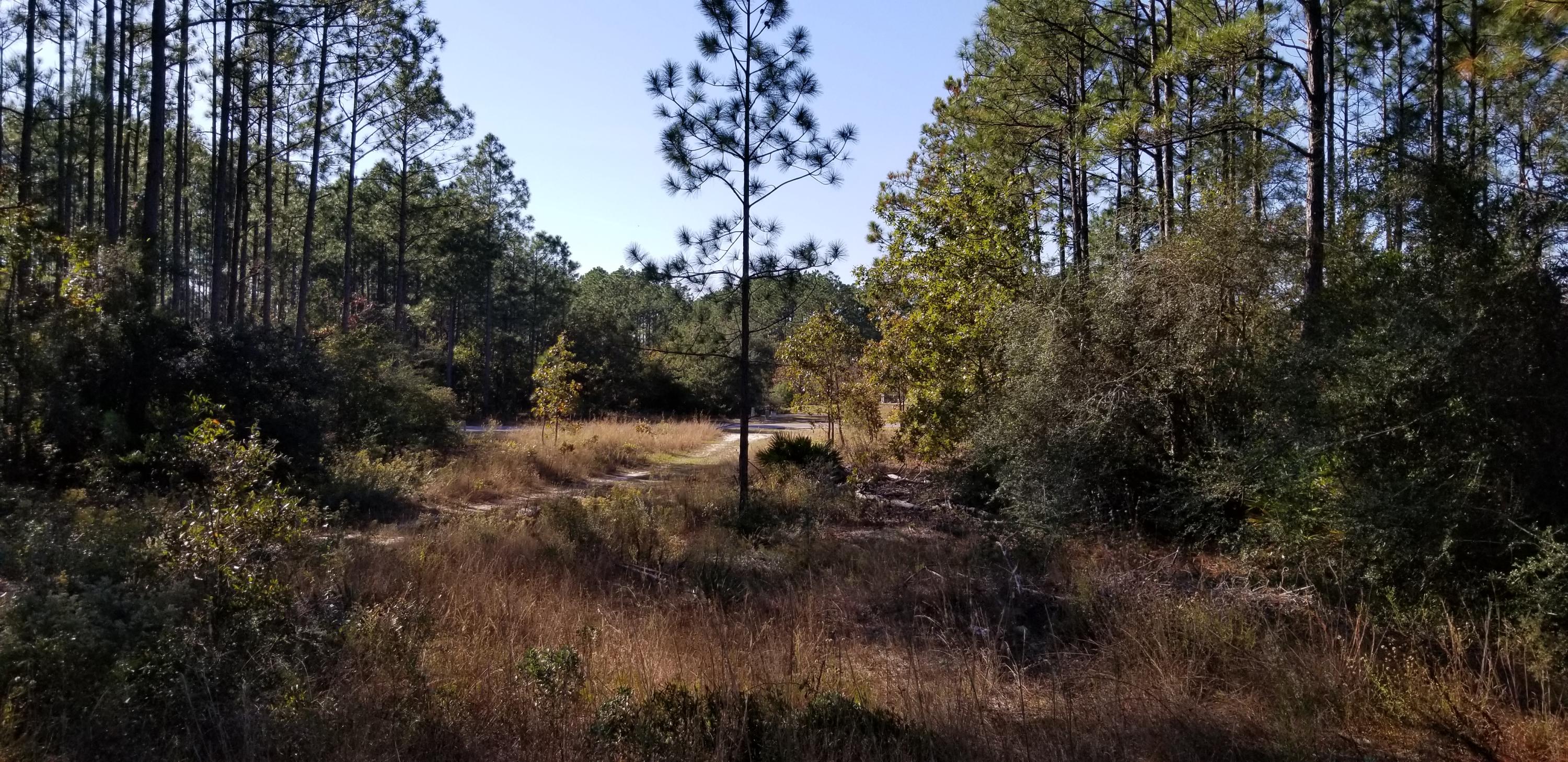 WINDSWEPT ESTATES - Land