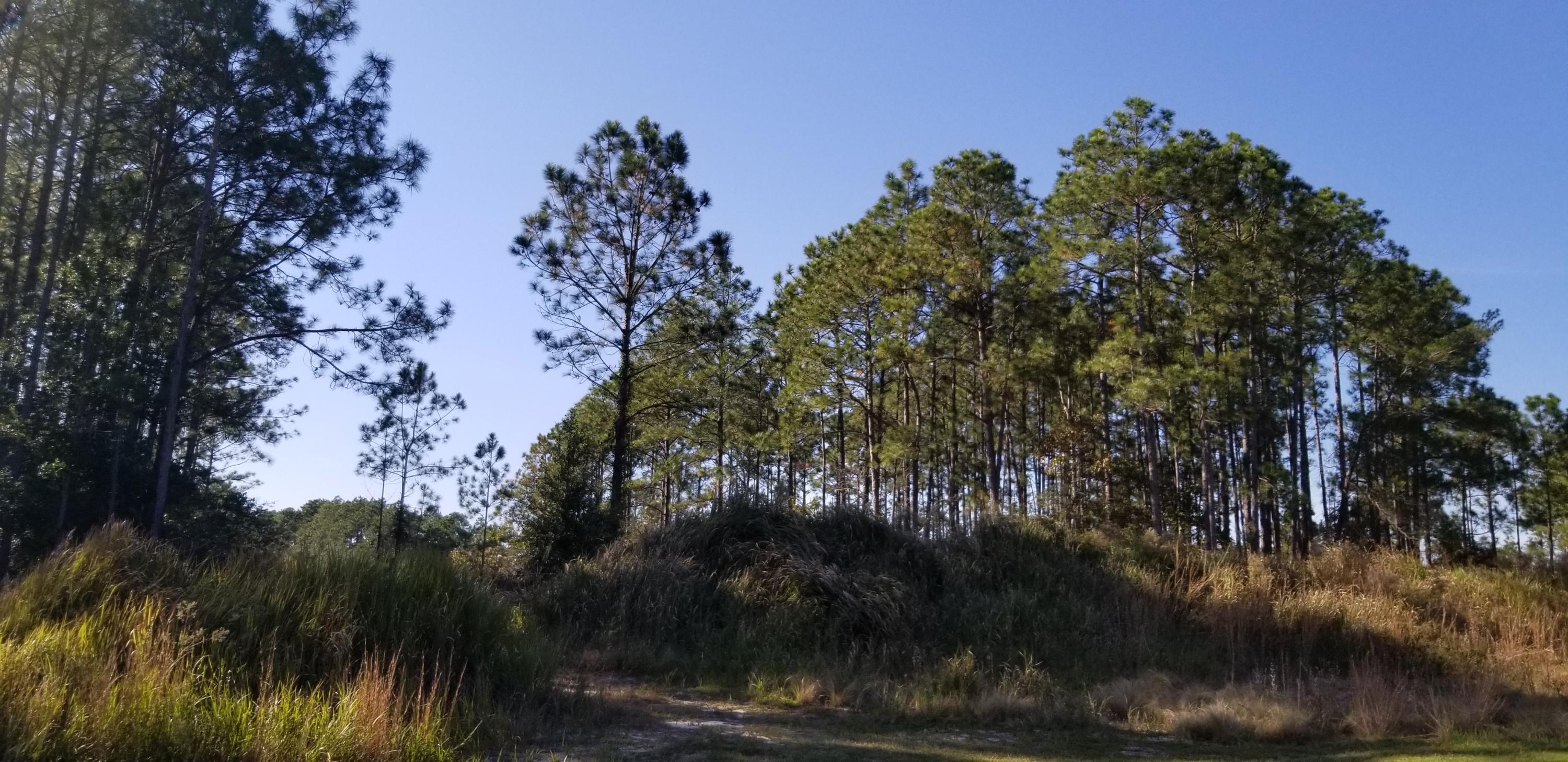 WINDSWEPT ESTATES - Land