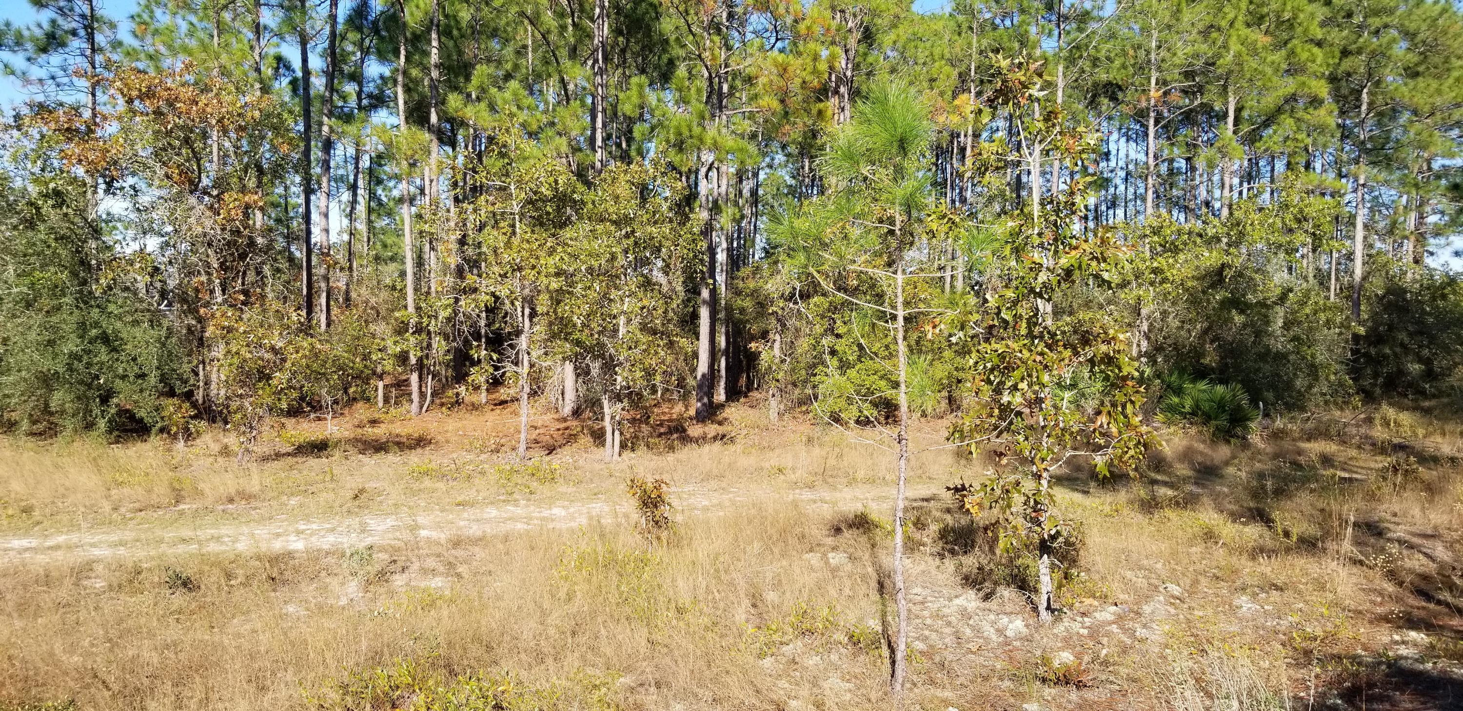 WINDSWEPT ESTATES - Land