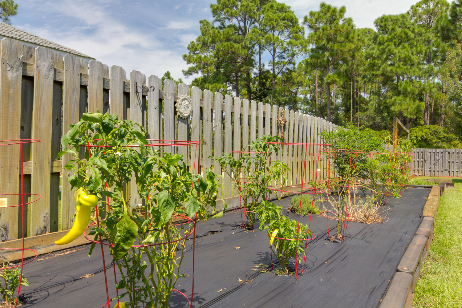 DRIFTWOOD ESTATES - Residential