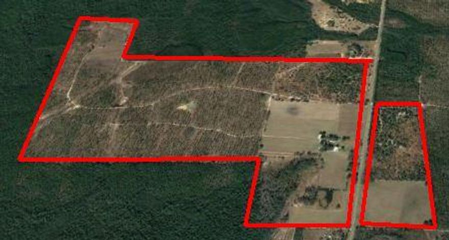 Large, beautiful parcel only 28 miles from Grayton Beach. Excellent for hunting, fishing, raising livestock, or growing crops. Approximately 490.5 acres and a 3080 sq foot house.All information is believed to be true but should be verified.