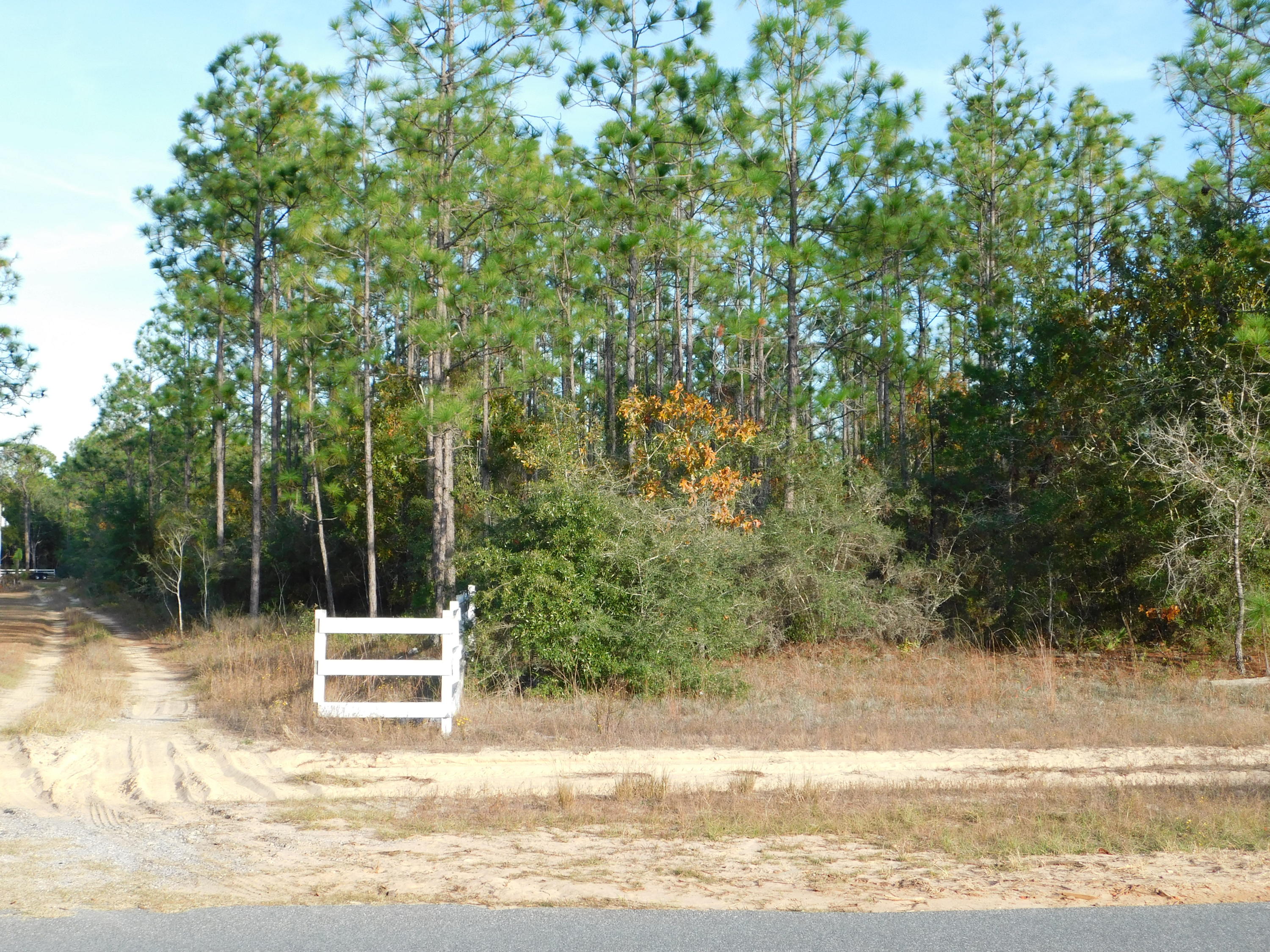 METES & BOUNDS - Land