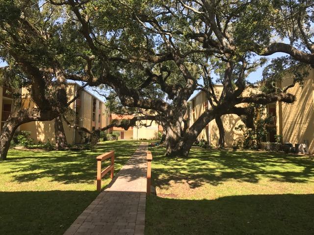 CEDARS CONDO - Residential