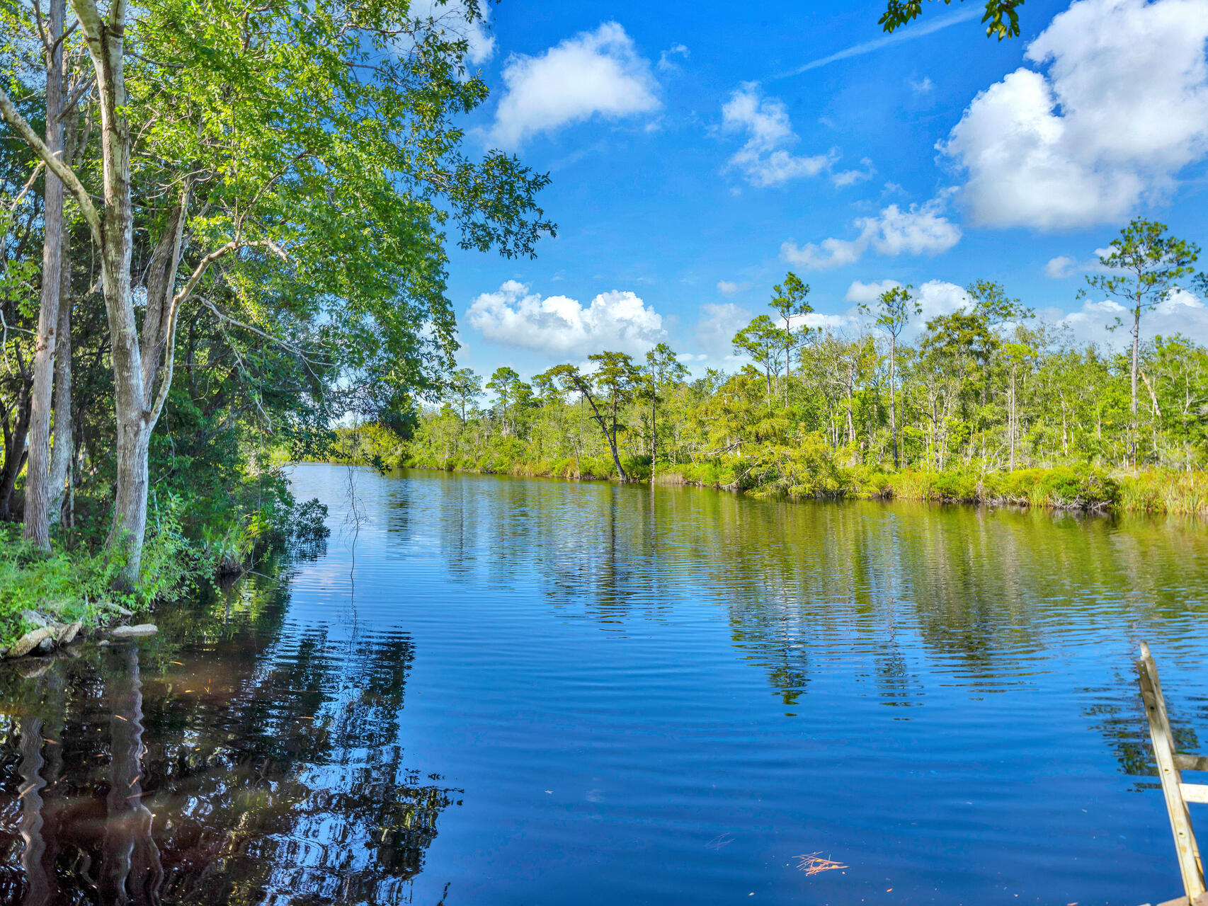 Charlotte Estates - Residential