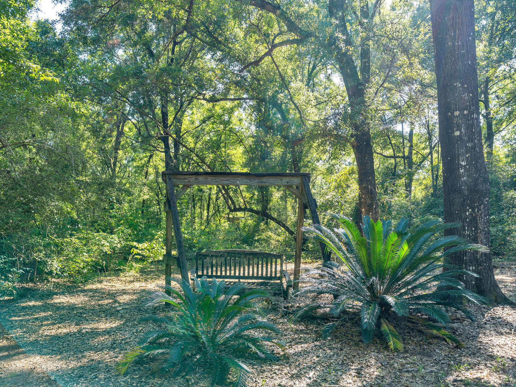 Charlotte Estates - Residential